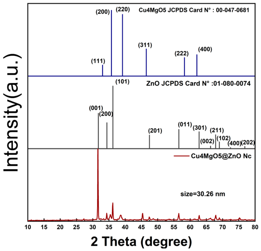 Catalysts 16 00488 g003