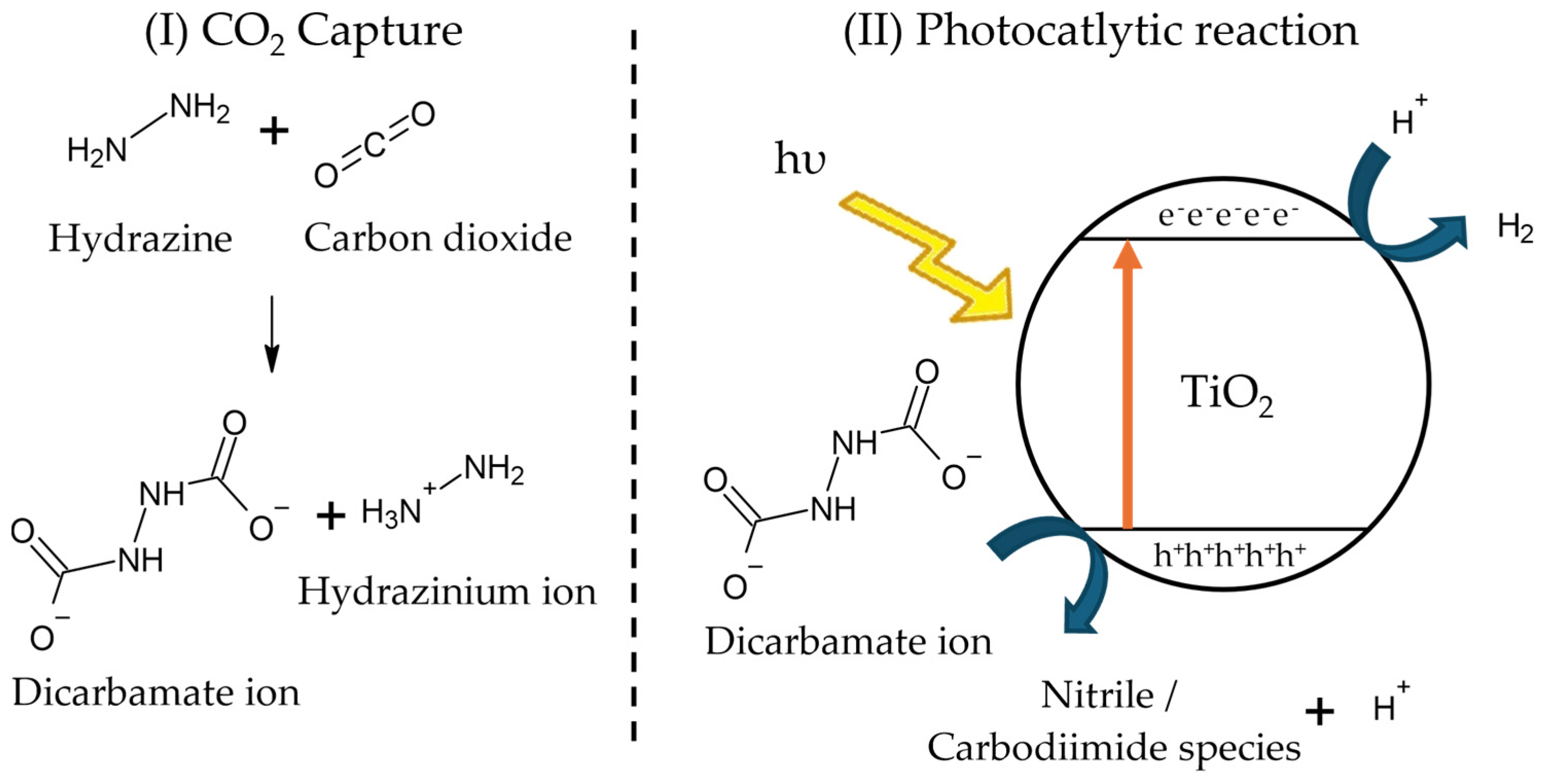 Catalysts 16 00491 sch001
