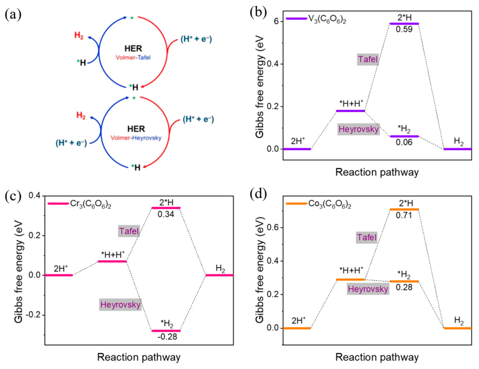 Catalysts 16 00497 g003