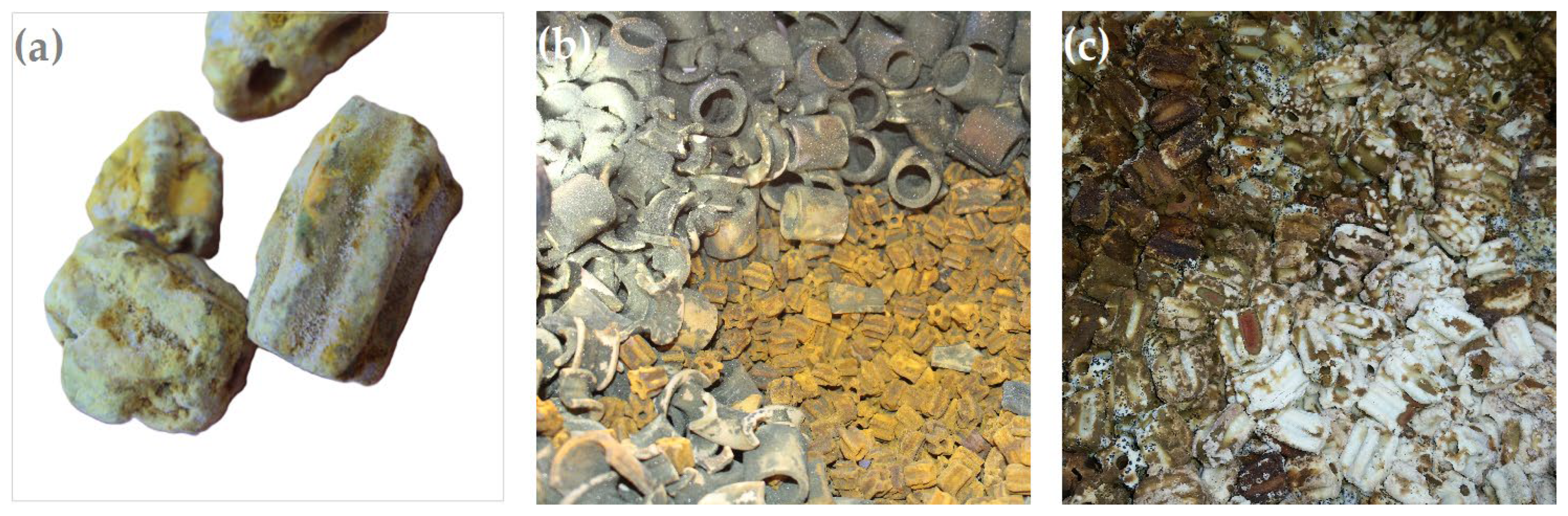 Catalysts 16 00522 g005 Catalysts 16 00522 g005