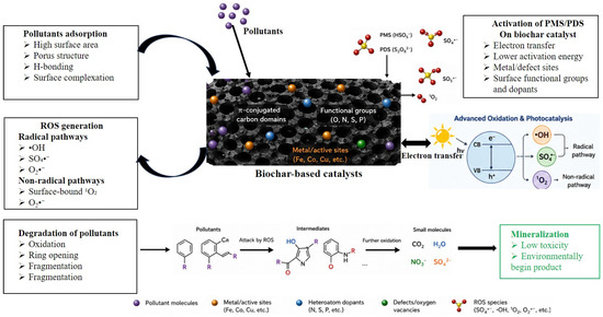 Biochar-Based Catalysts for Sustainable Wastewater Treatment