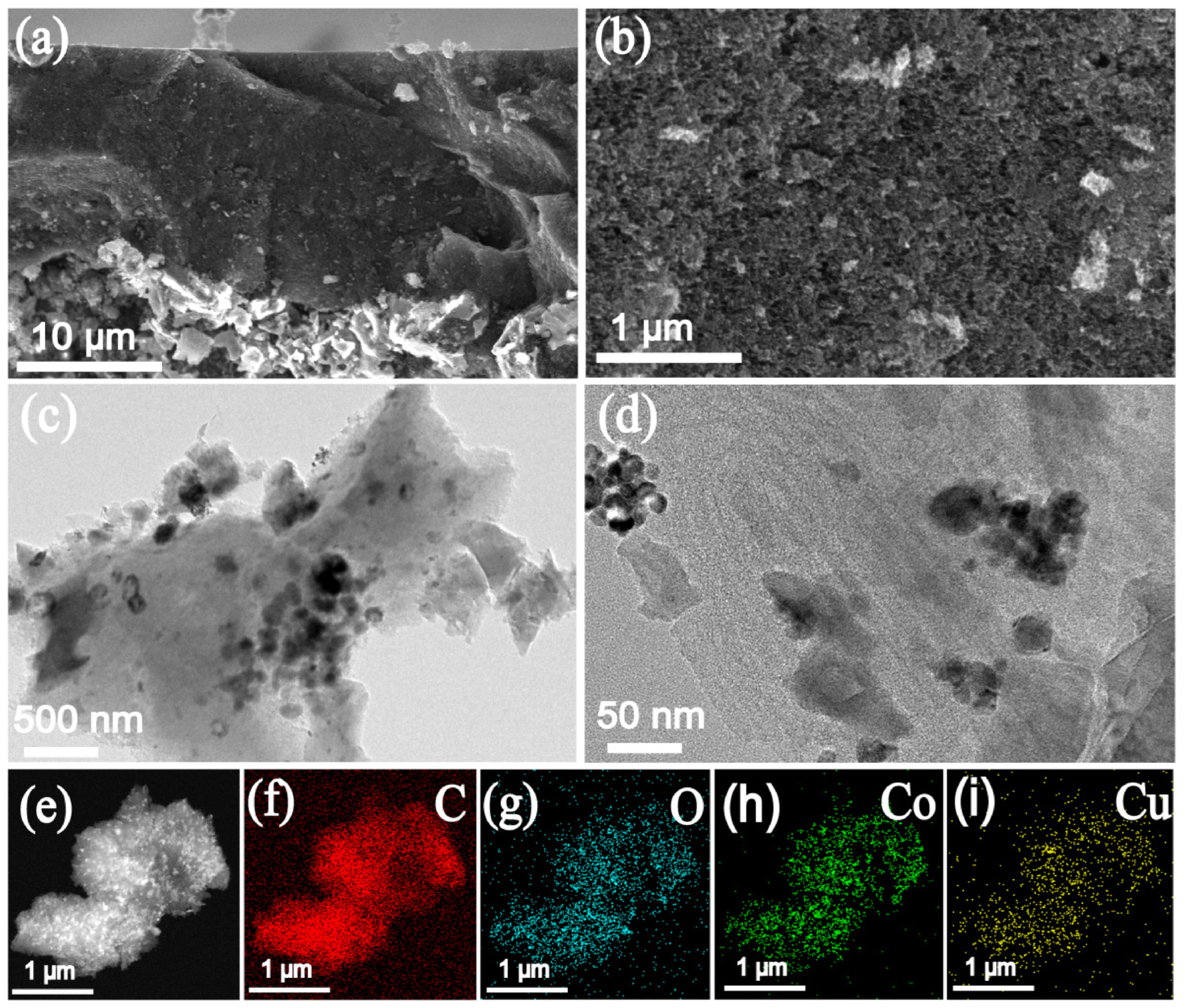 Catalysts 16 00544 g006 Catalysts 16 00544 g006