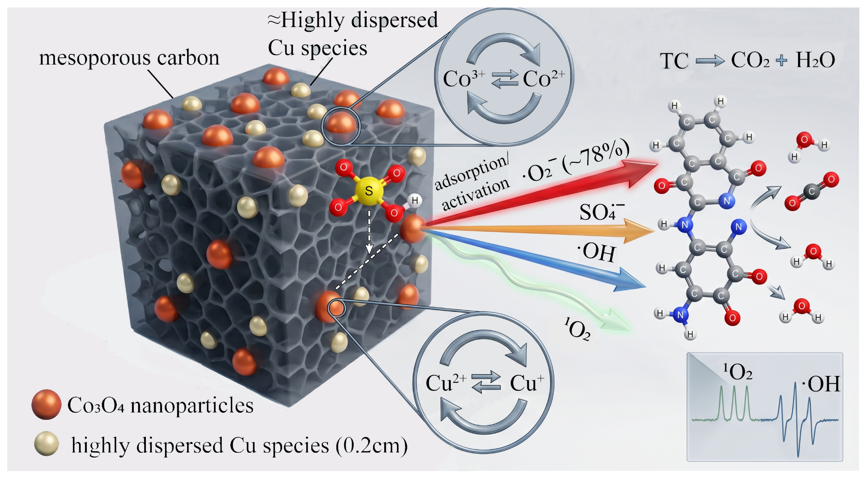 Catalysts 16 00544 g013 Catalysts 16 00544 g013