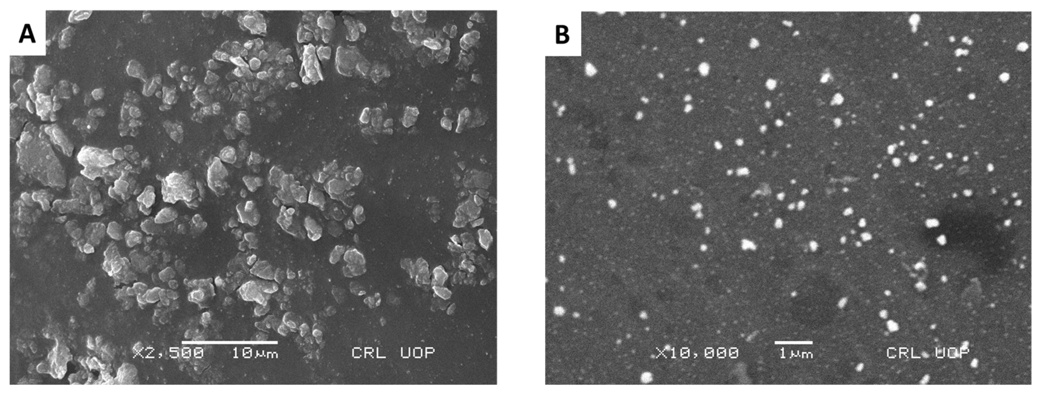 Catalysts 16 00549 g006 Catalysts 16 00549 g006
