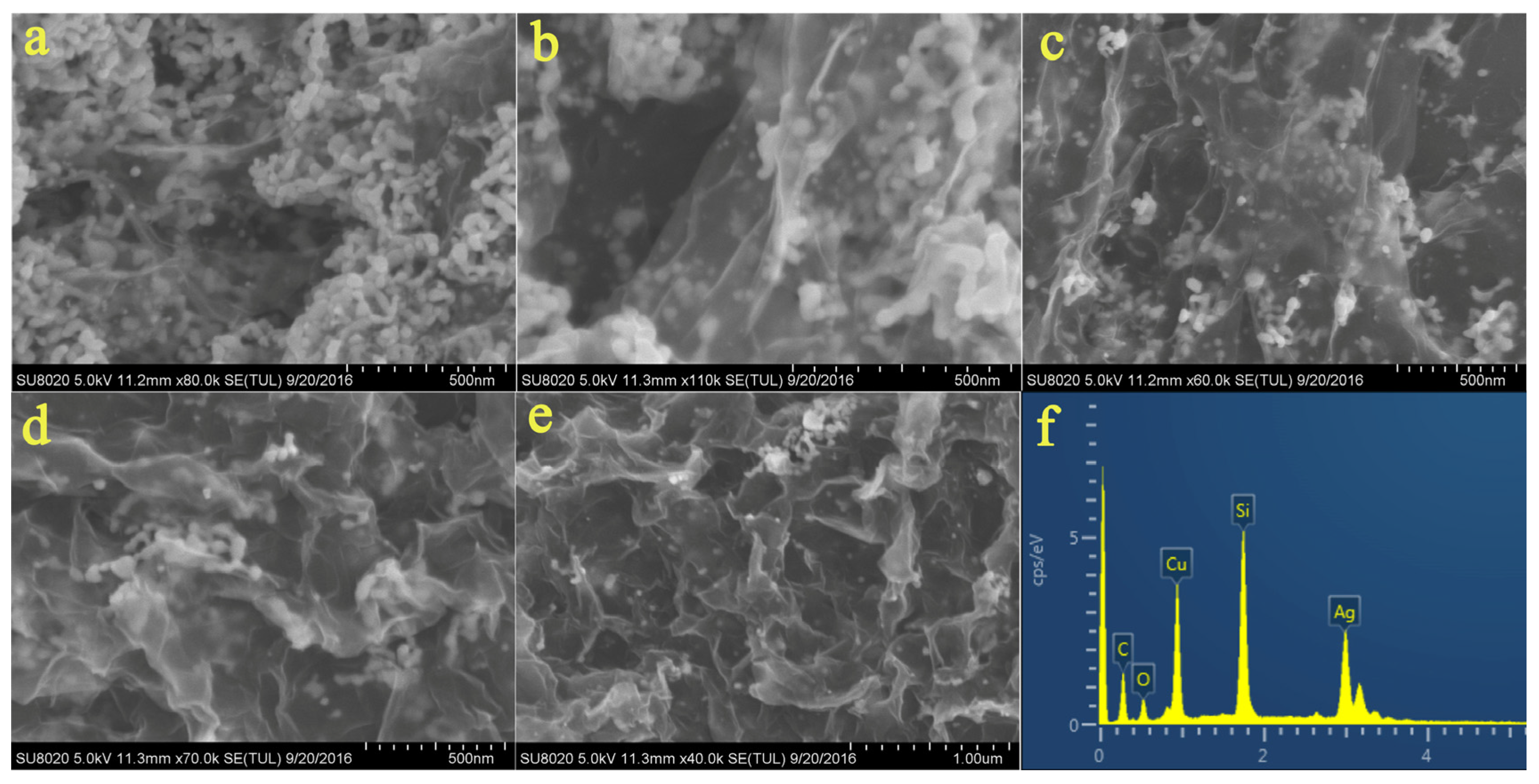 Catalysts 16 00551 g001
