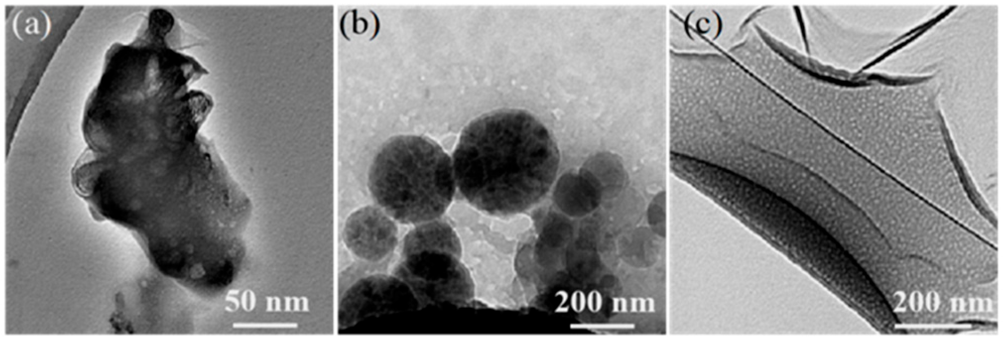 Catalysts 16 00696 g002