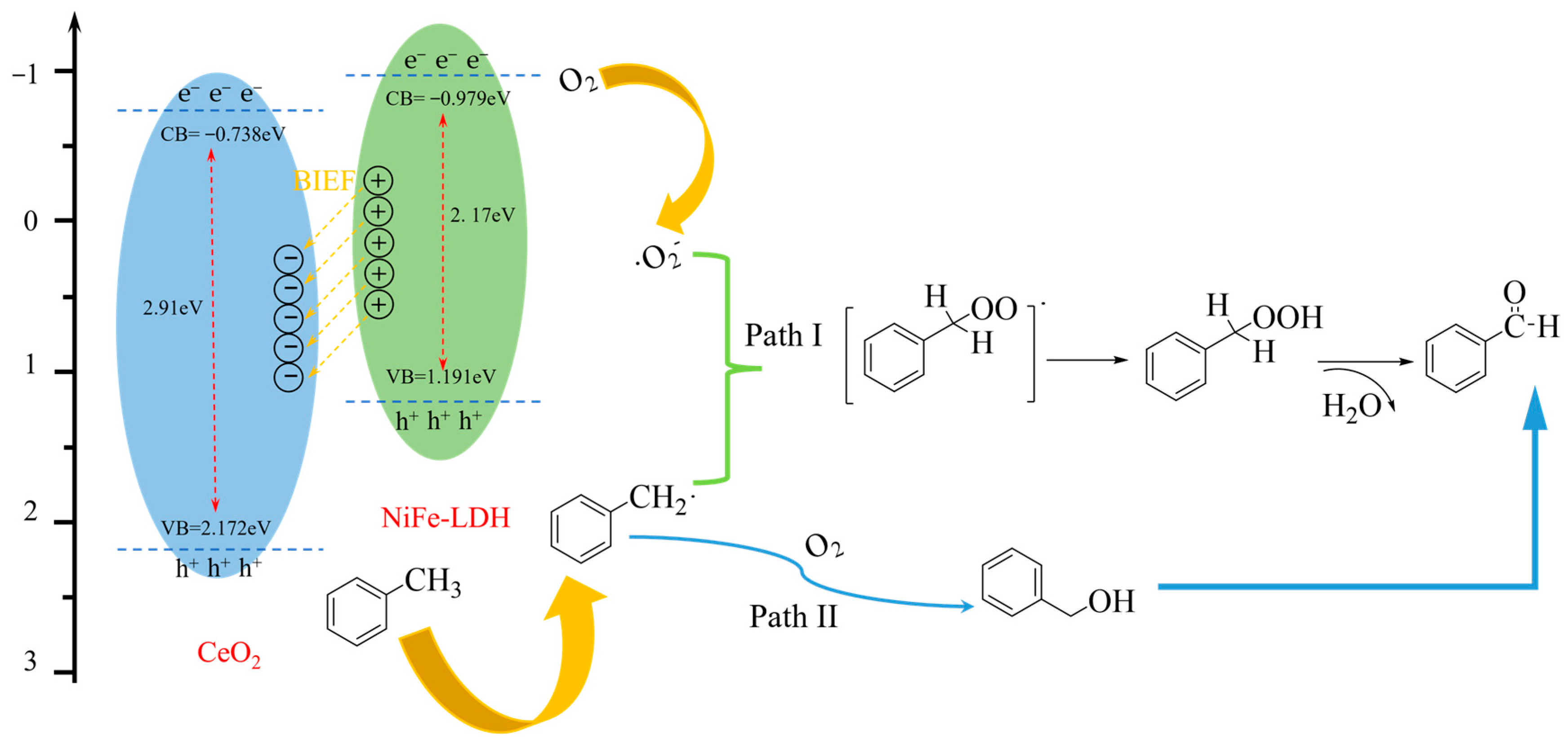 Catalysts 16 00757 g012