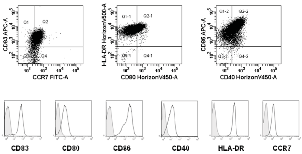Cells 01 00051 g001 1024