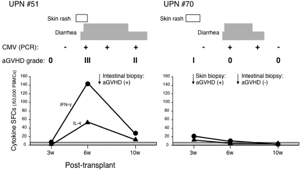 Cells 01 00061 g003 1024
