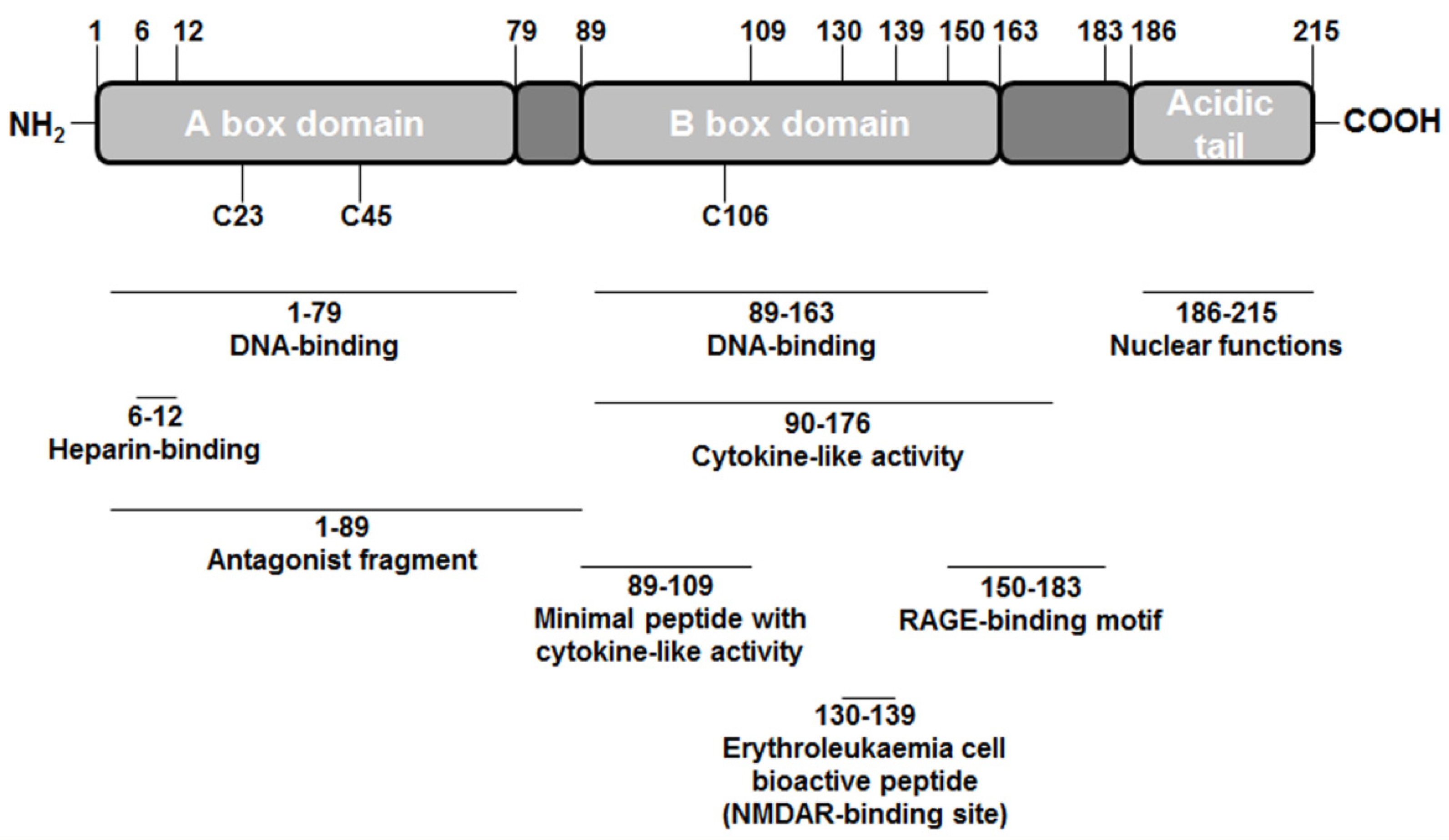 Cells 01 00699 g001