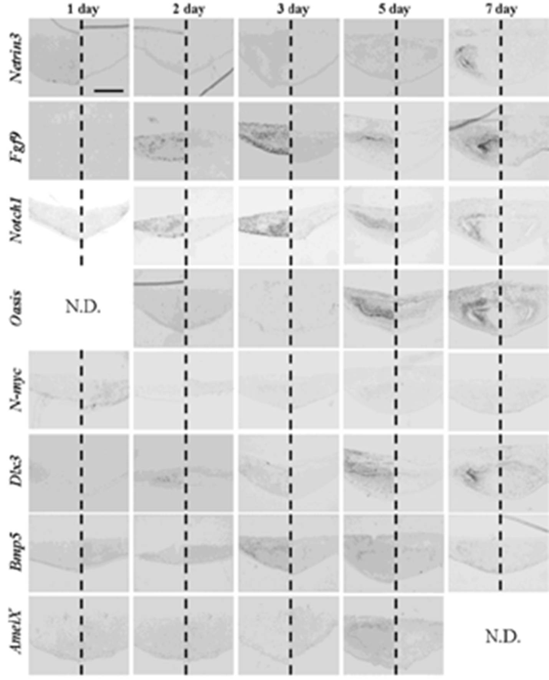 Cells 01 00905 g008