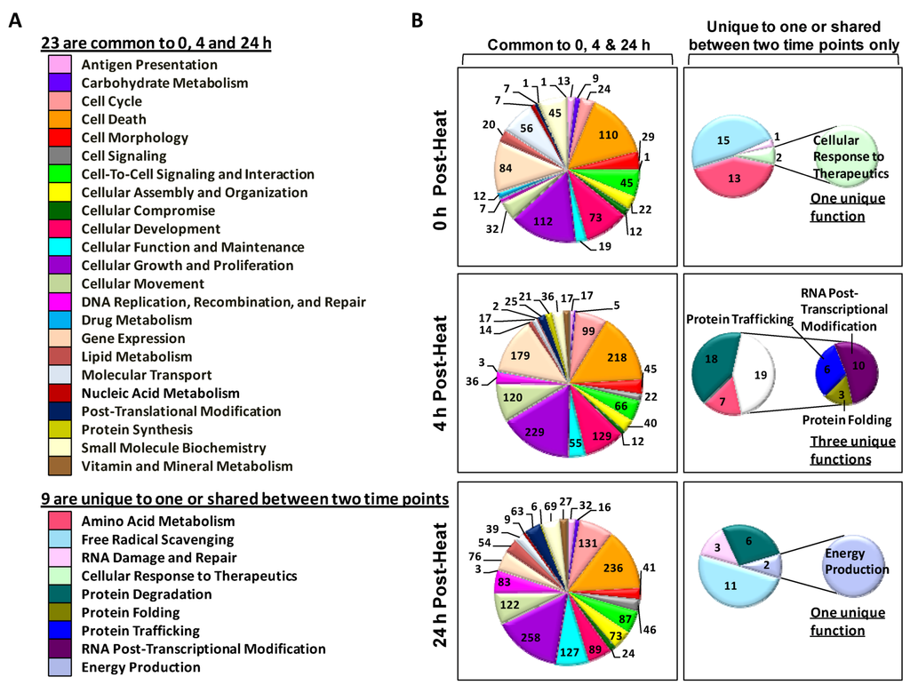 Genes, Free Full-Text