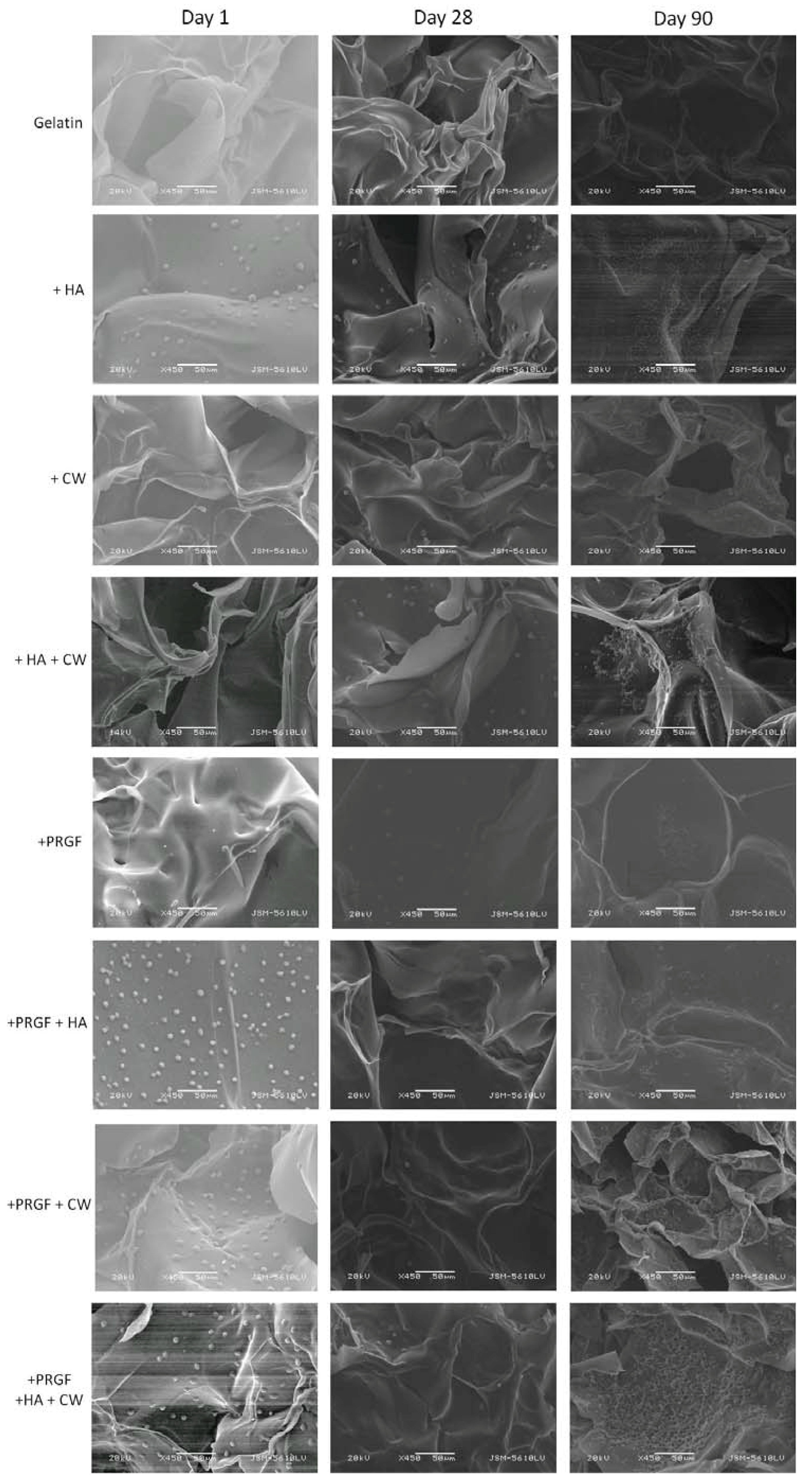 Cells 02 00244 g004