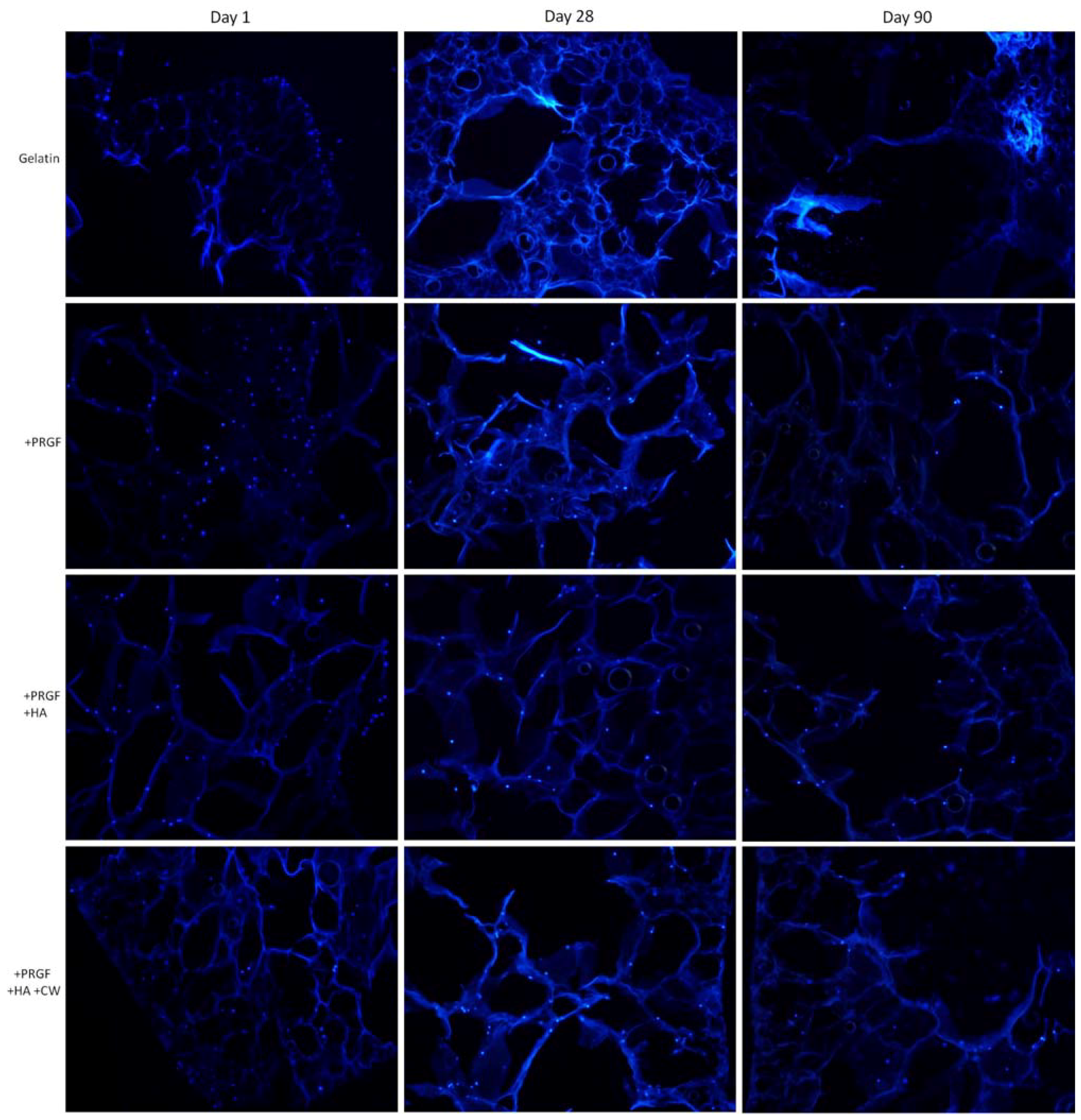 Cells 02 00244 g007