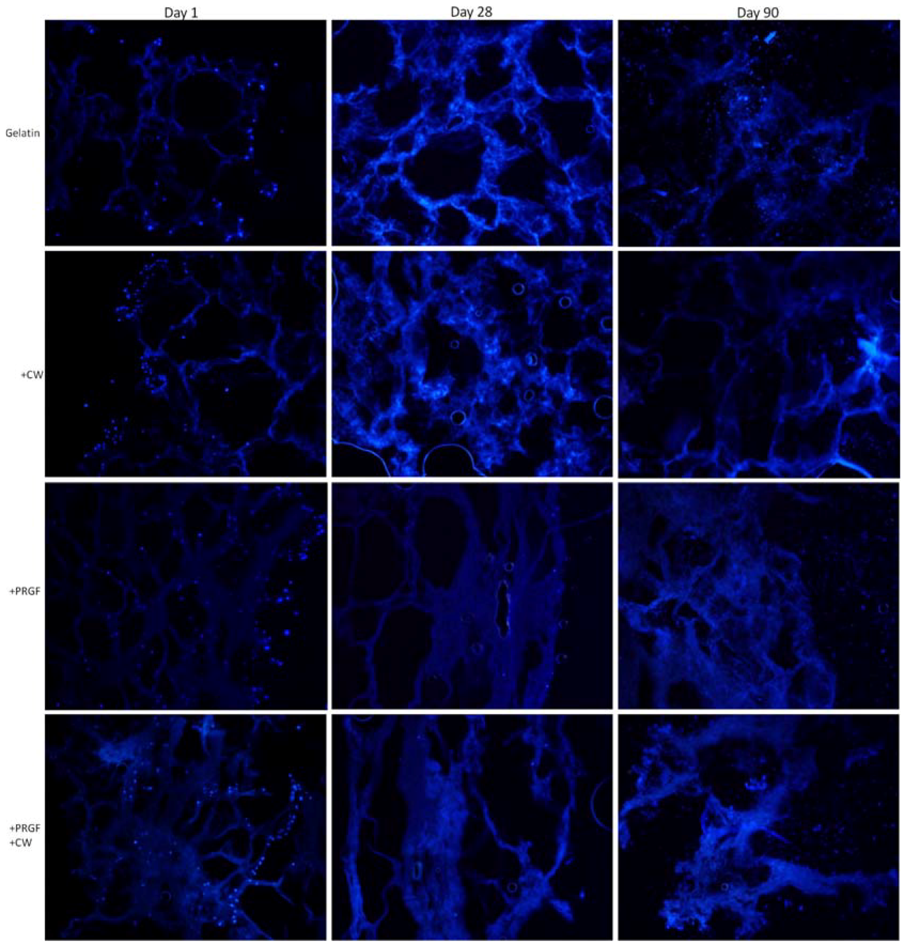 Cells 02 00244 g008