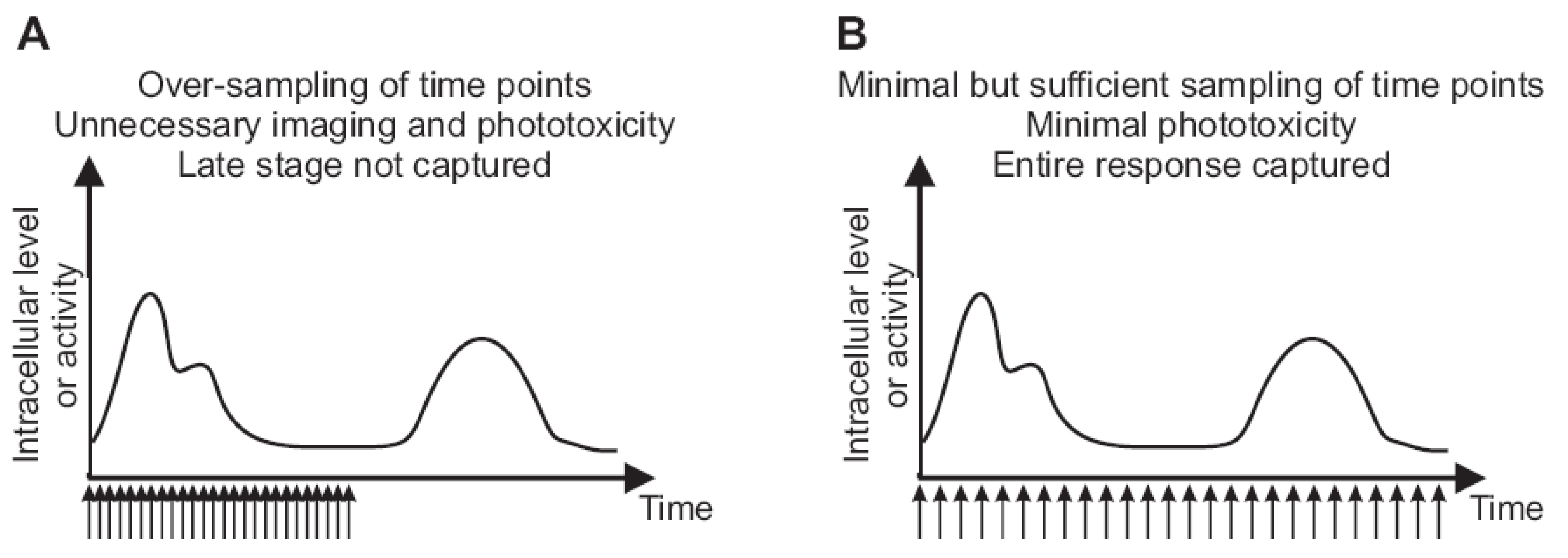 Cells 02 00284 g003 1024