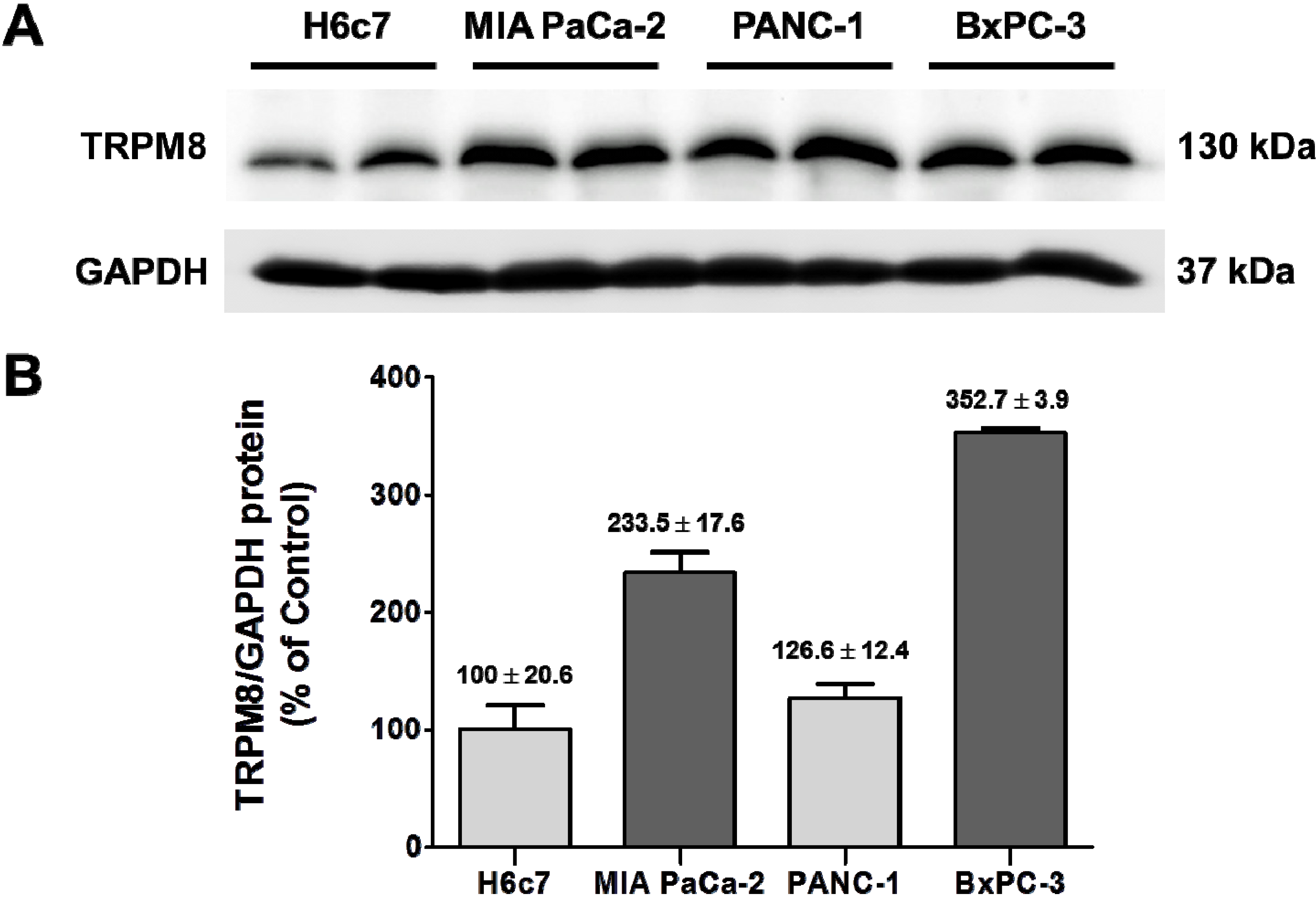 Cells 03 00500 g005 1024