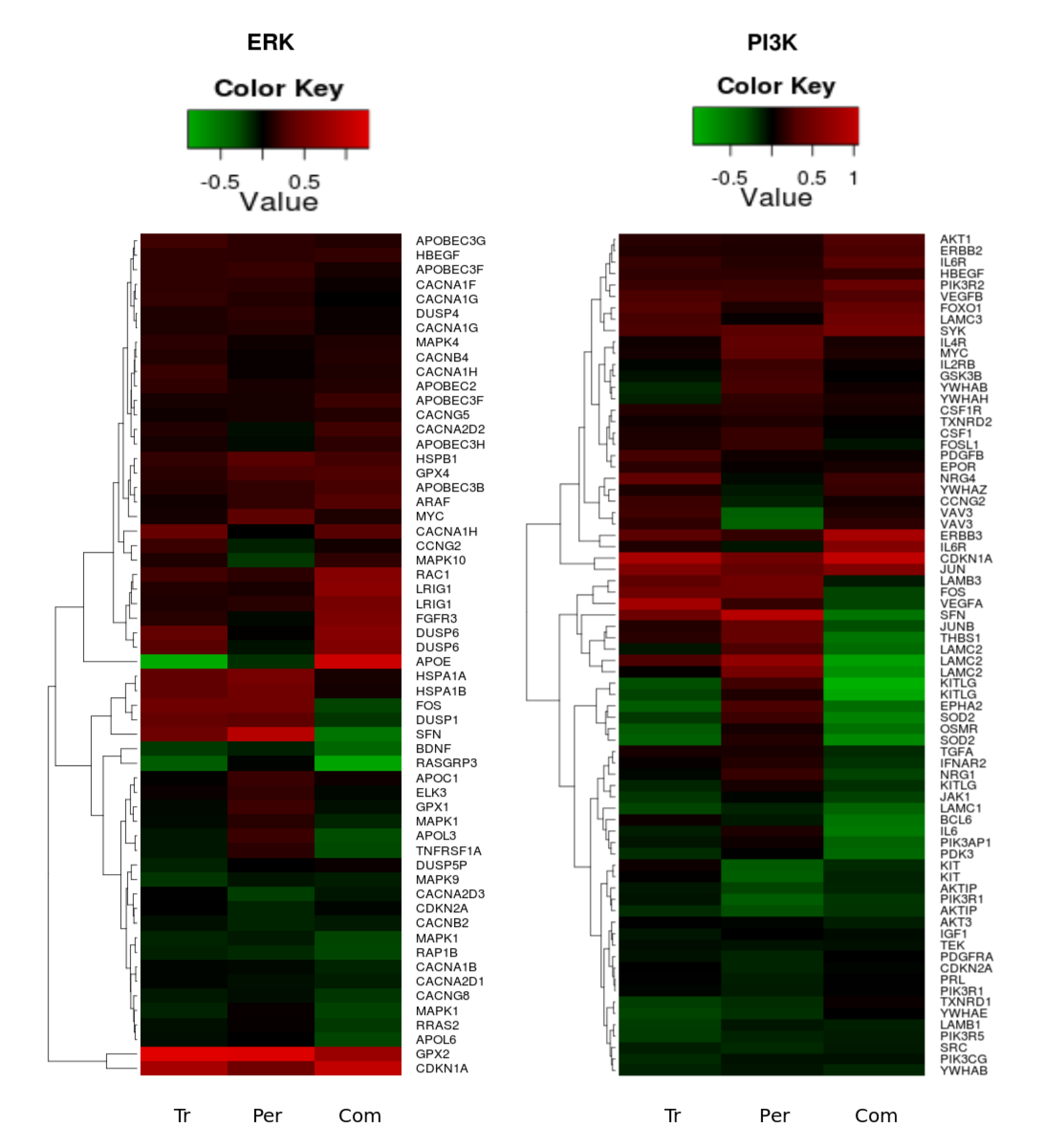 Cells 03 00563 g008