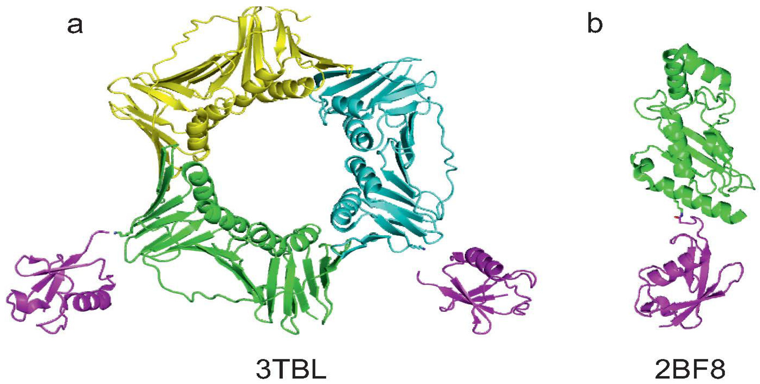 Cells 03 00639 g005 1024