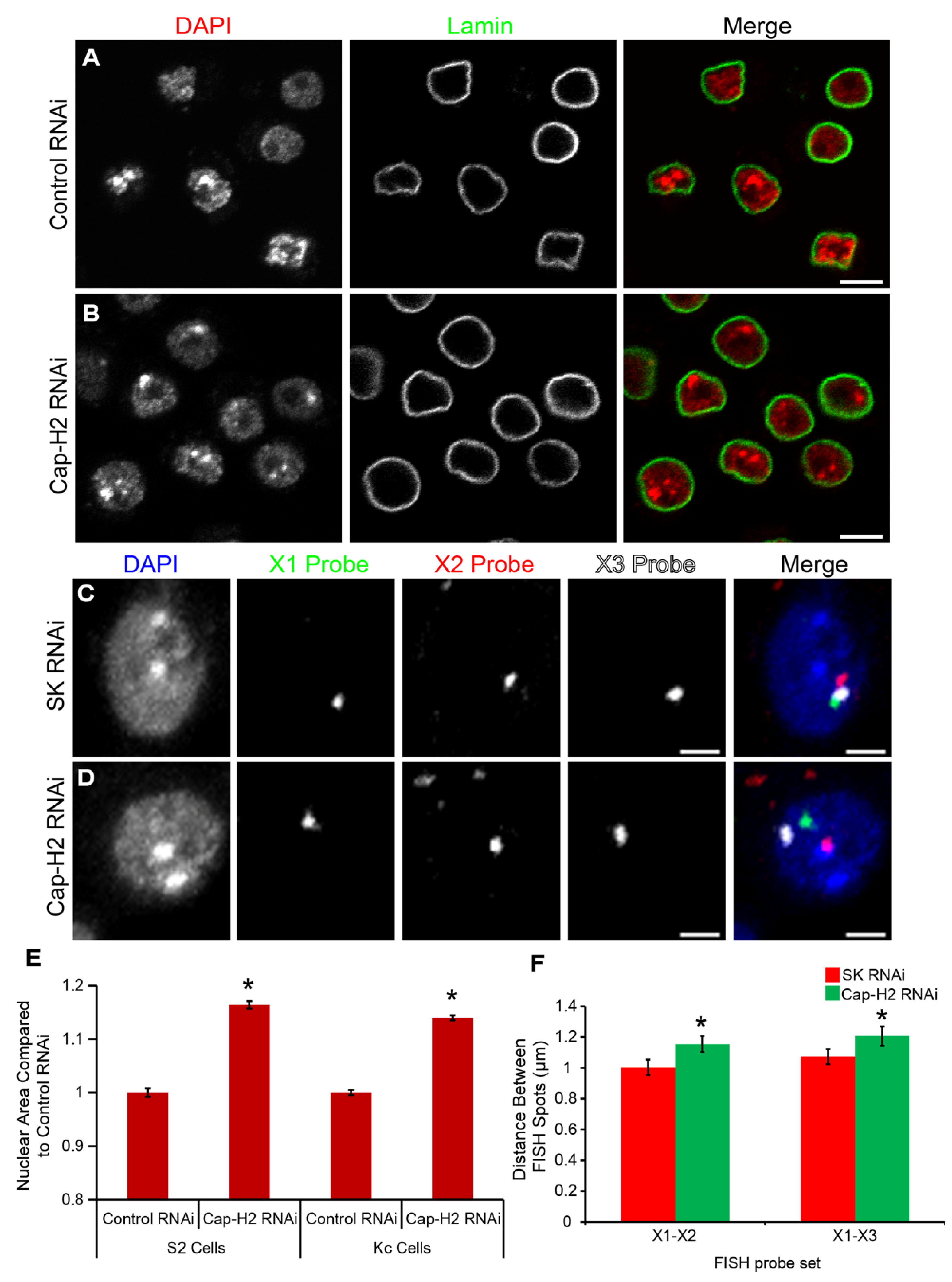 Cells 03 00865 g001