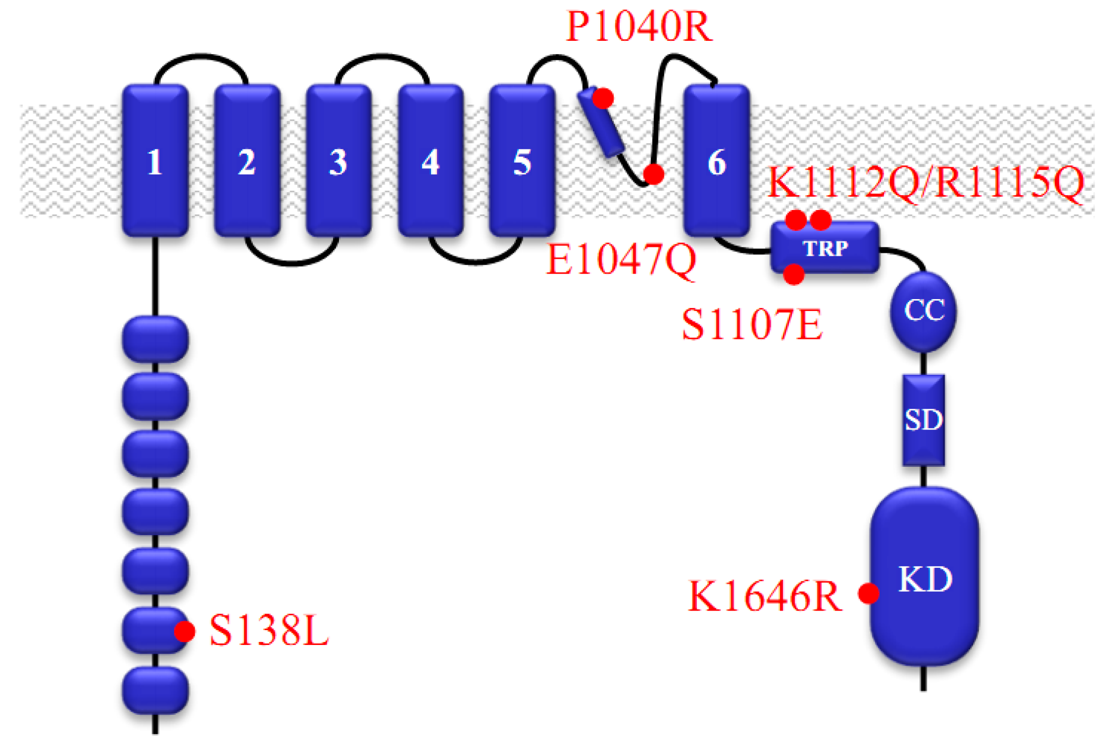 Cells 03 01089 g001