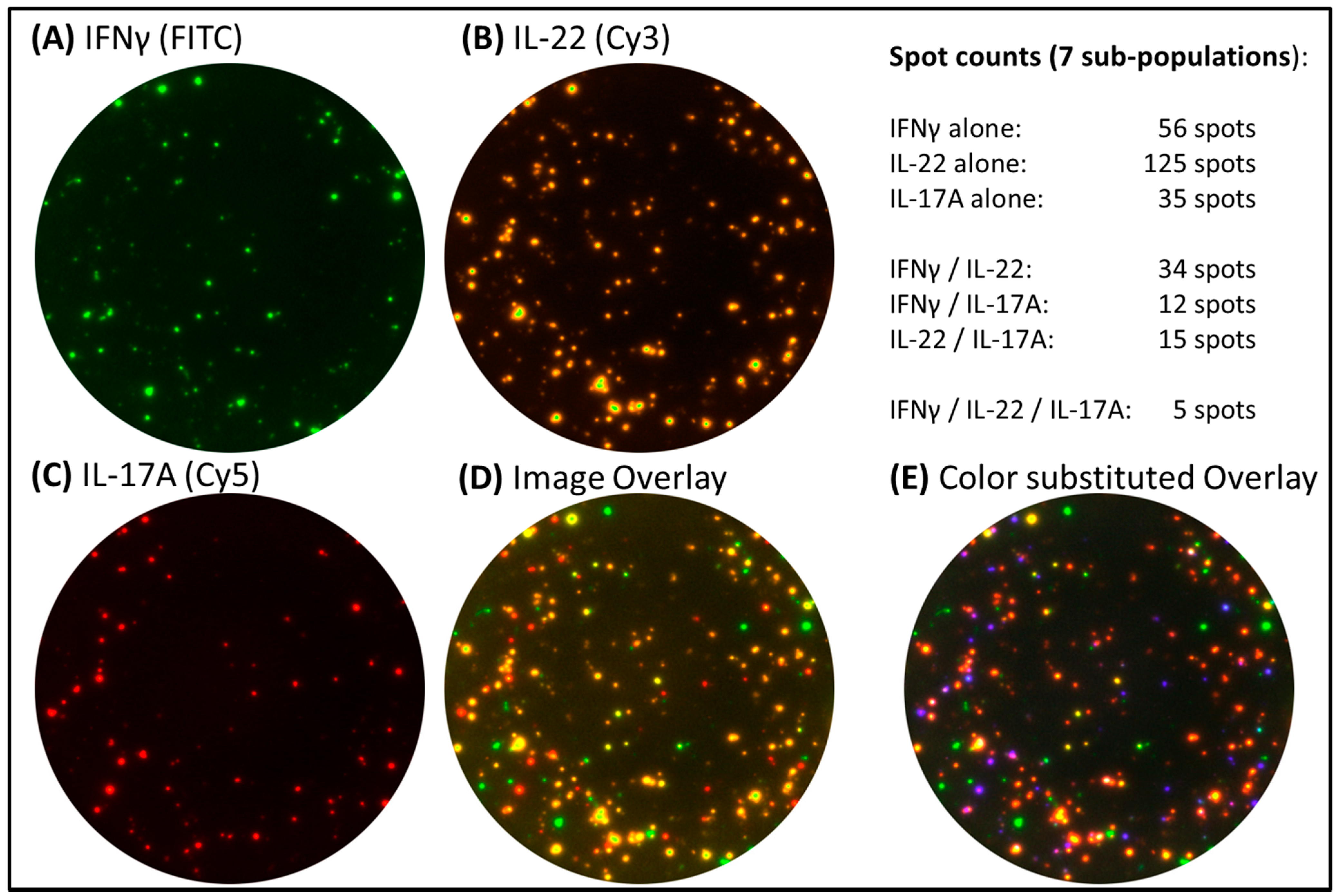 Cells 03 01102 g007