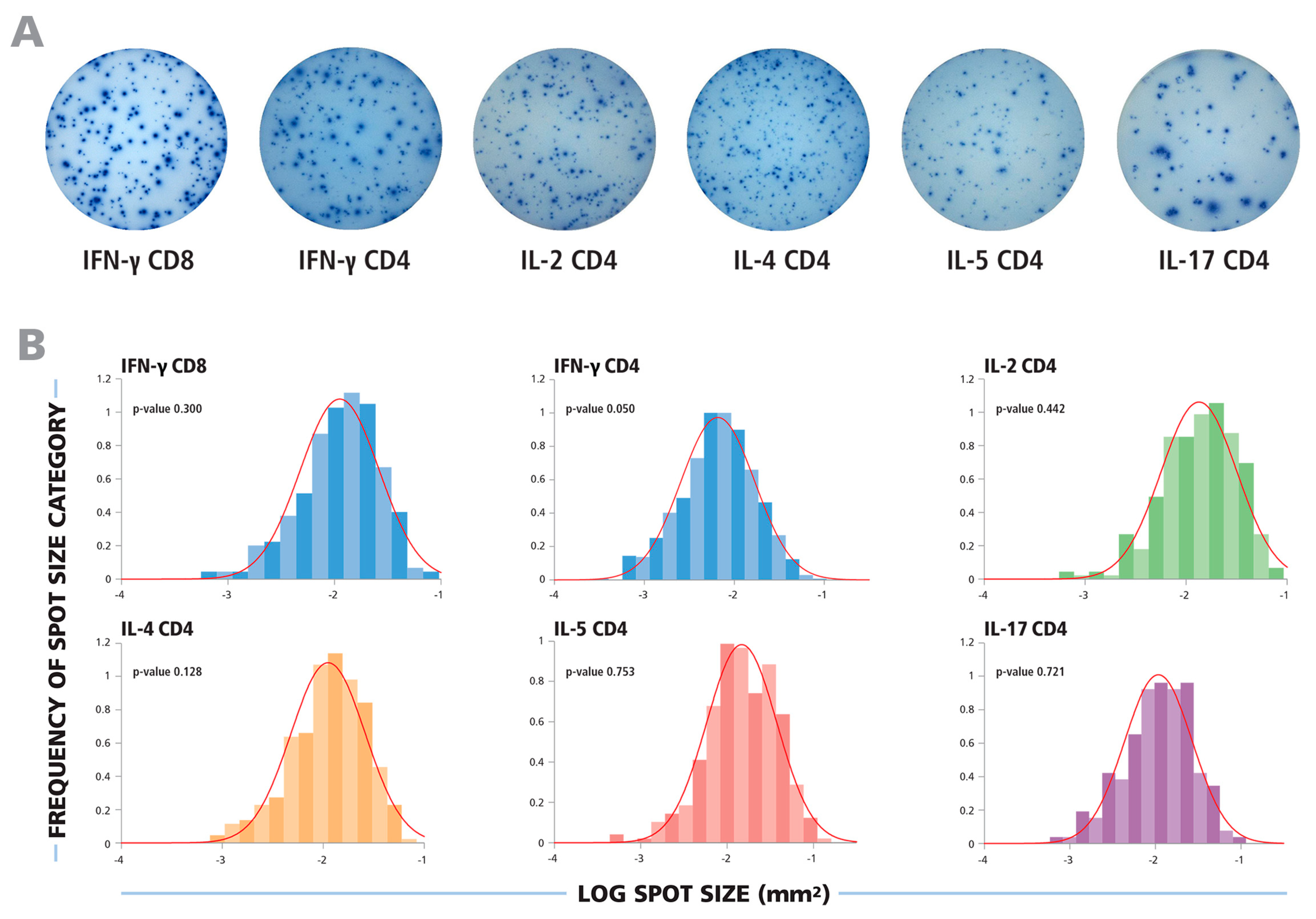 Cells 04 00056 g001 1024
