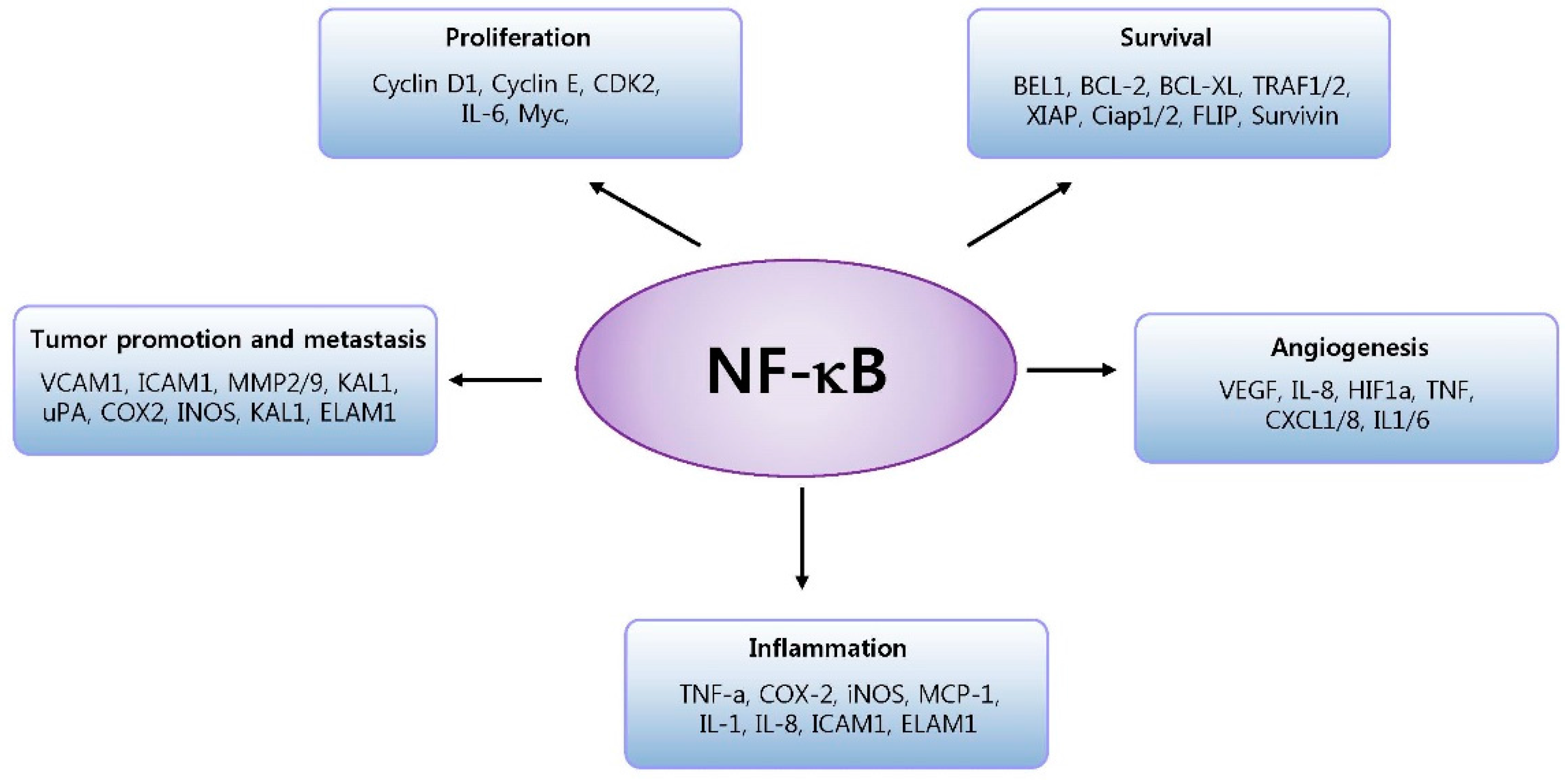 Cells Free Full Text Roles Of Nf Kb In Cancer And Inflammatory Diseases And Their Therapeutic Approaches Html