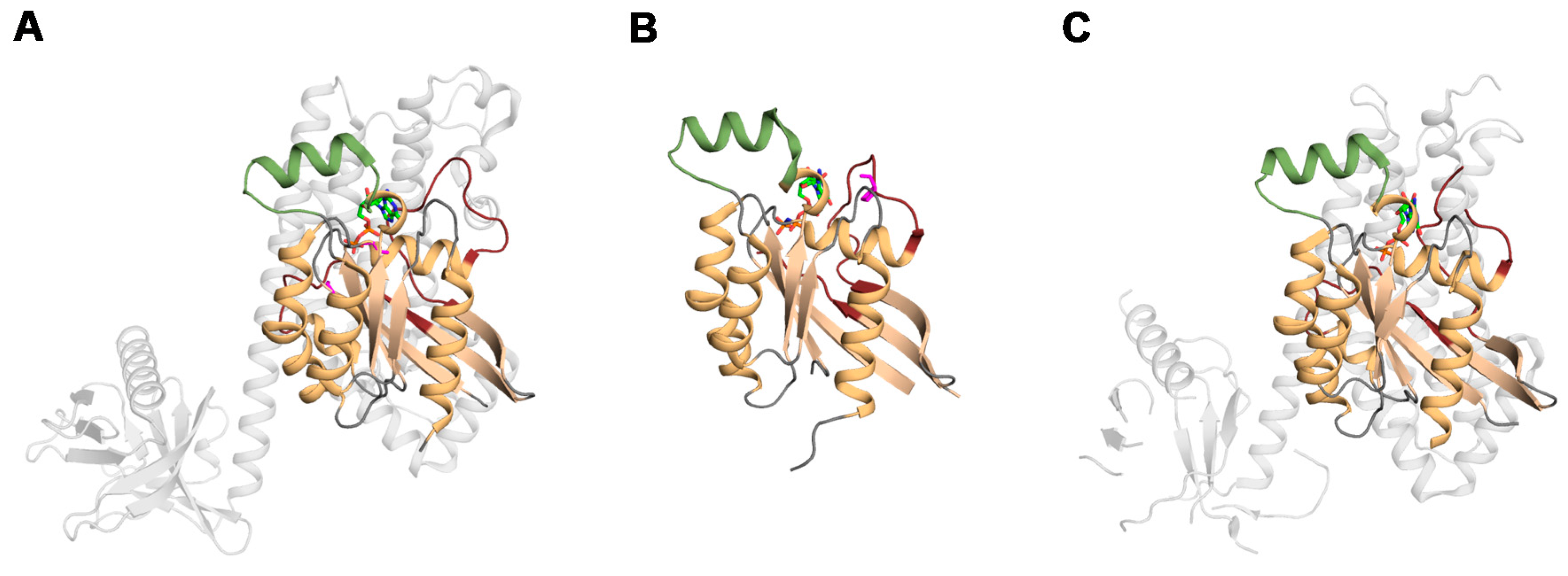 Cells 05 00026 g002