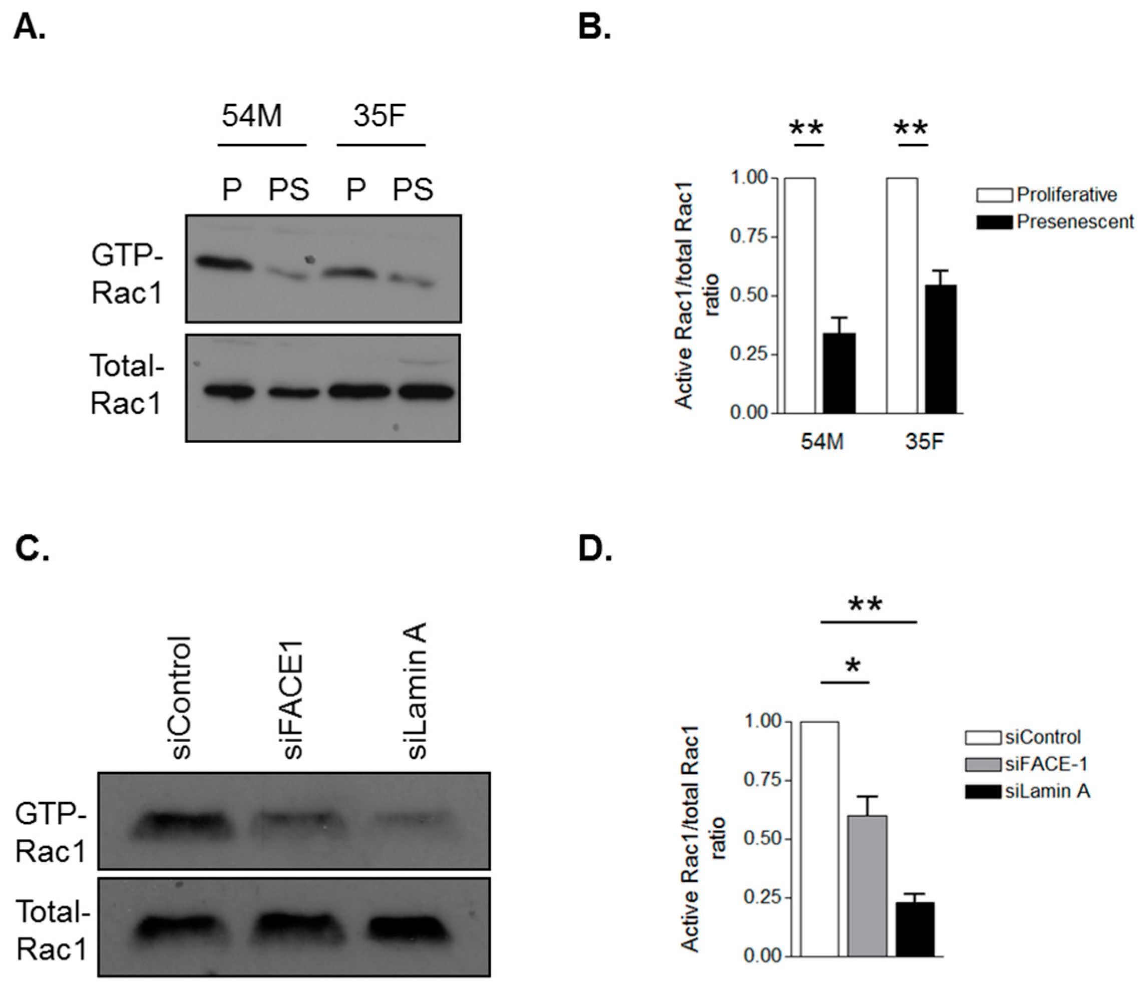 Cells 05 00041 g006
