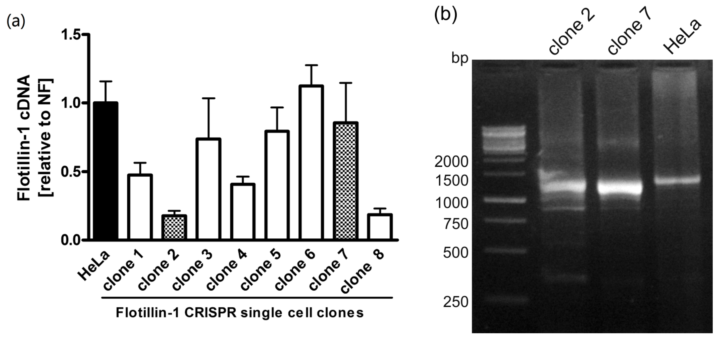 Cells 05 00045 g002