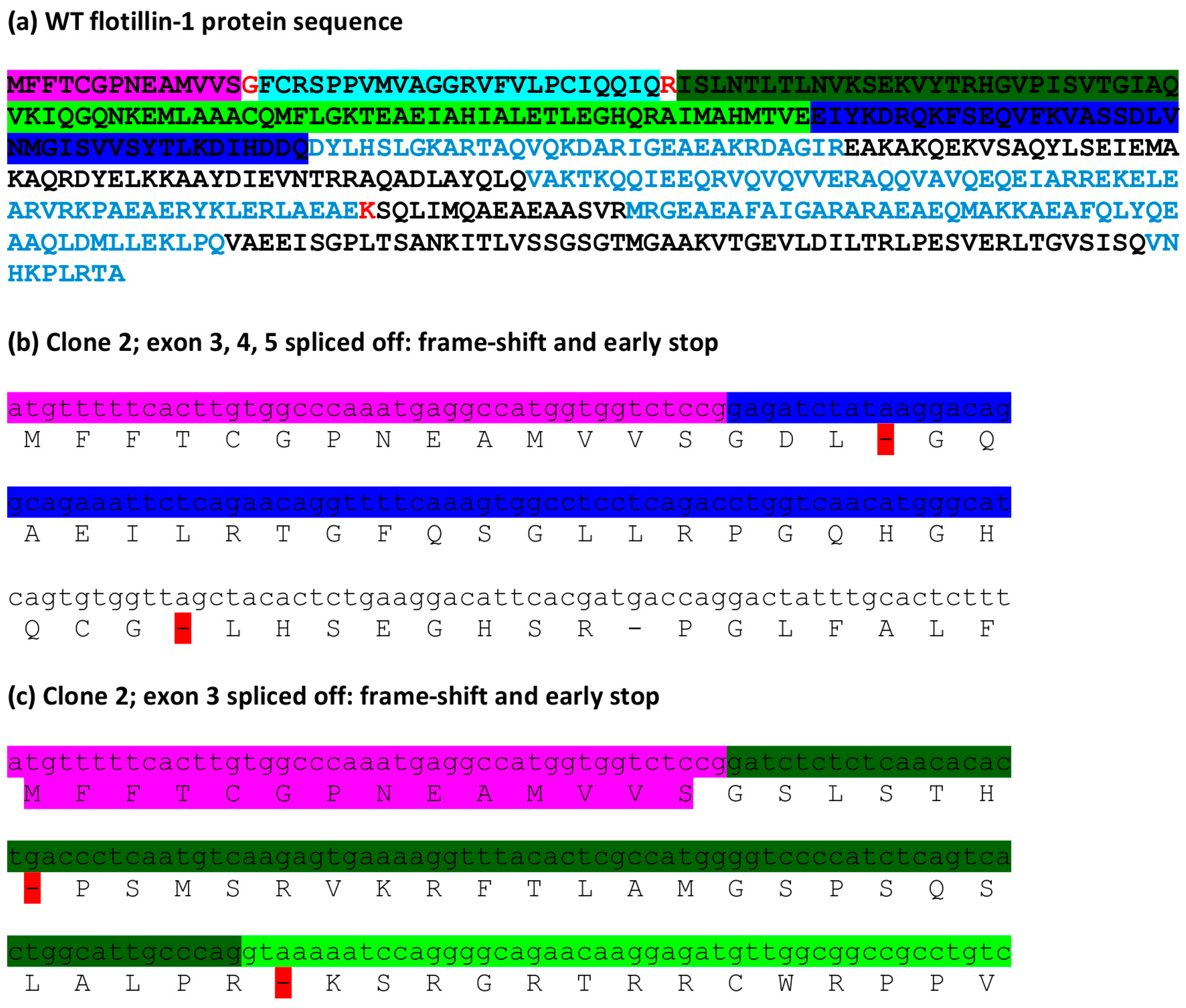 Cells 05 00045 g006
