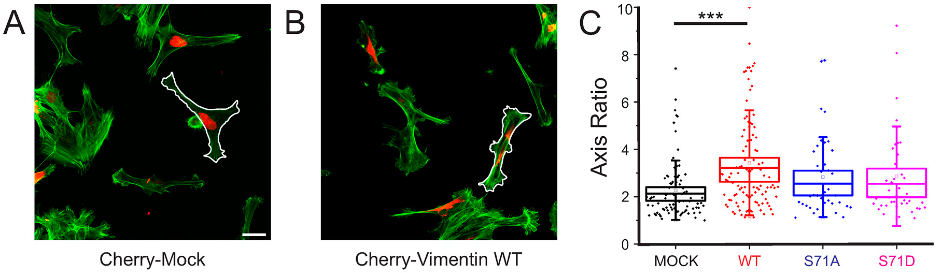 Cells 06 00002 g003