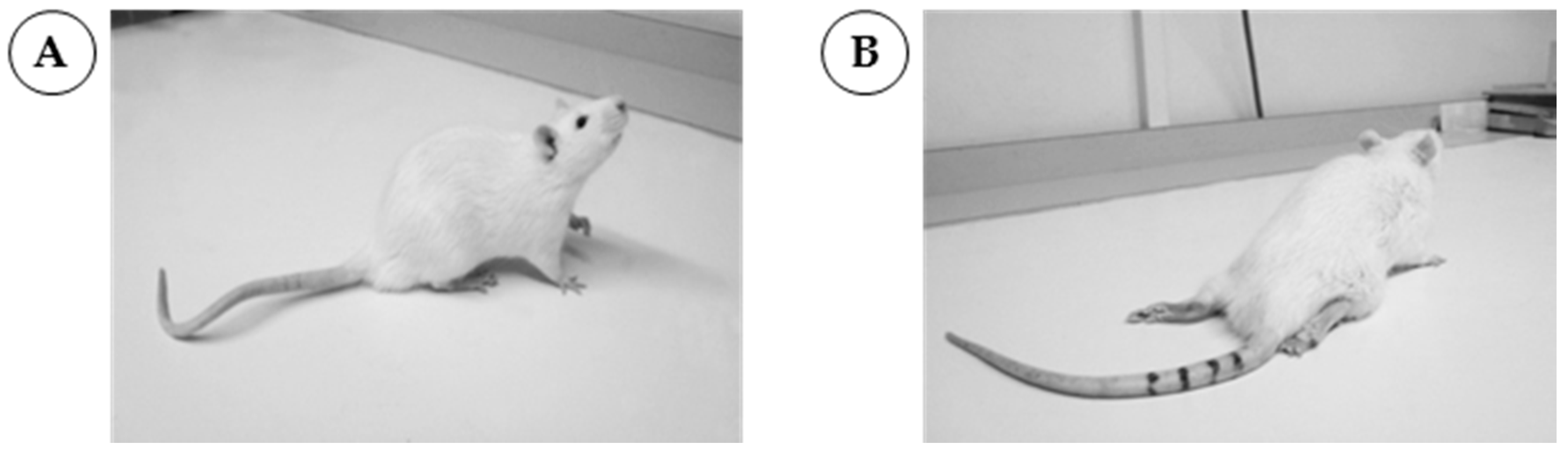 Cells 06 00030 g002 Cells 06 00030 g002