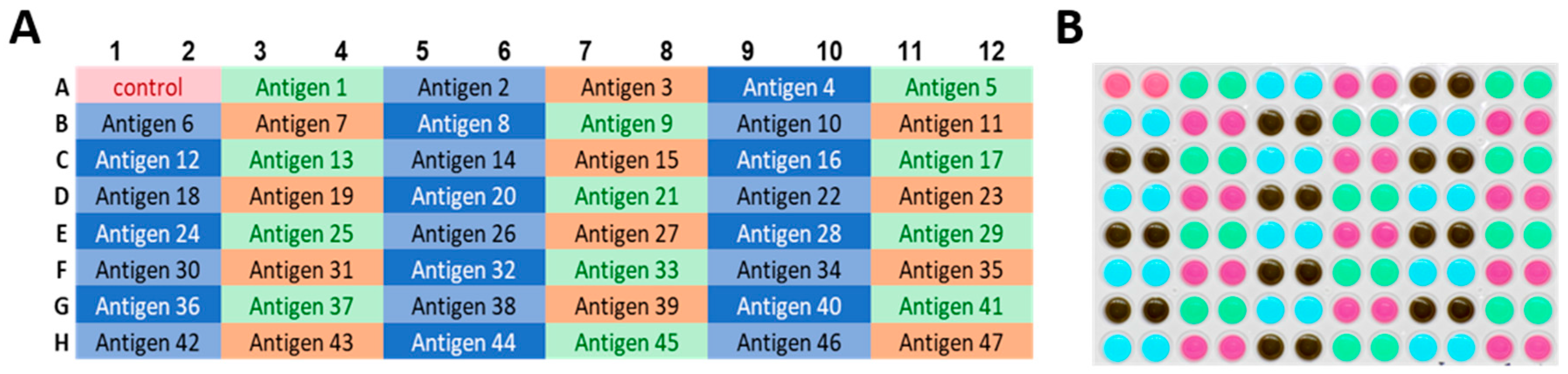 Cells 07 00003 g005 550