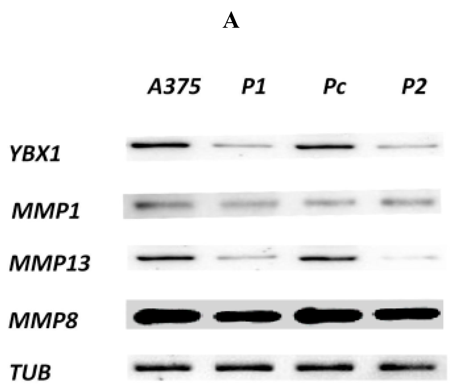 Cells 07 00007 g004a