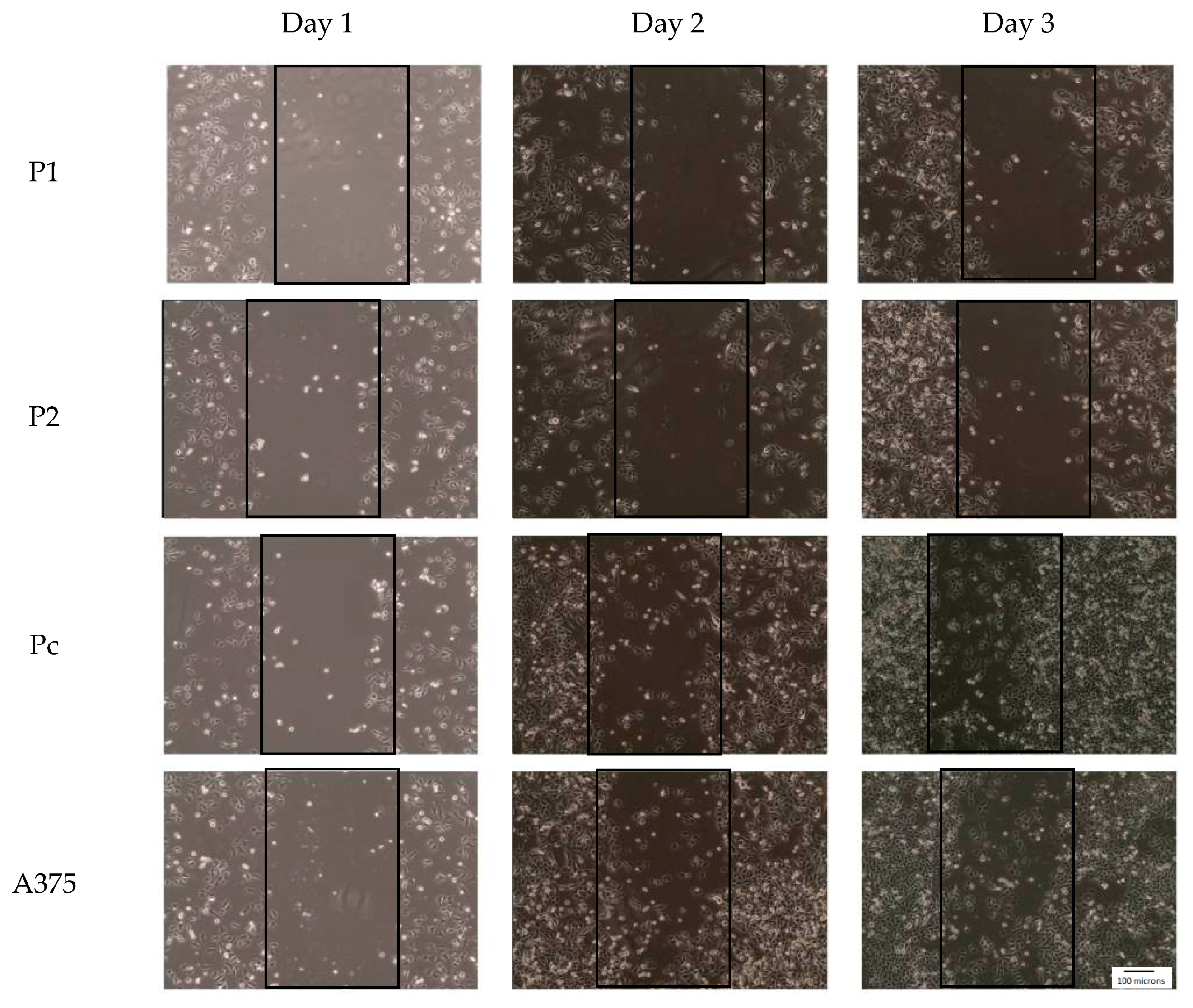 Cells 07 00007 g006