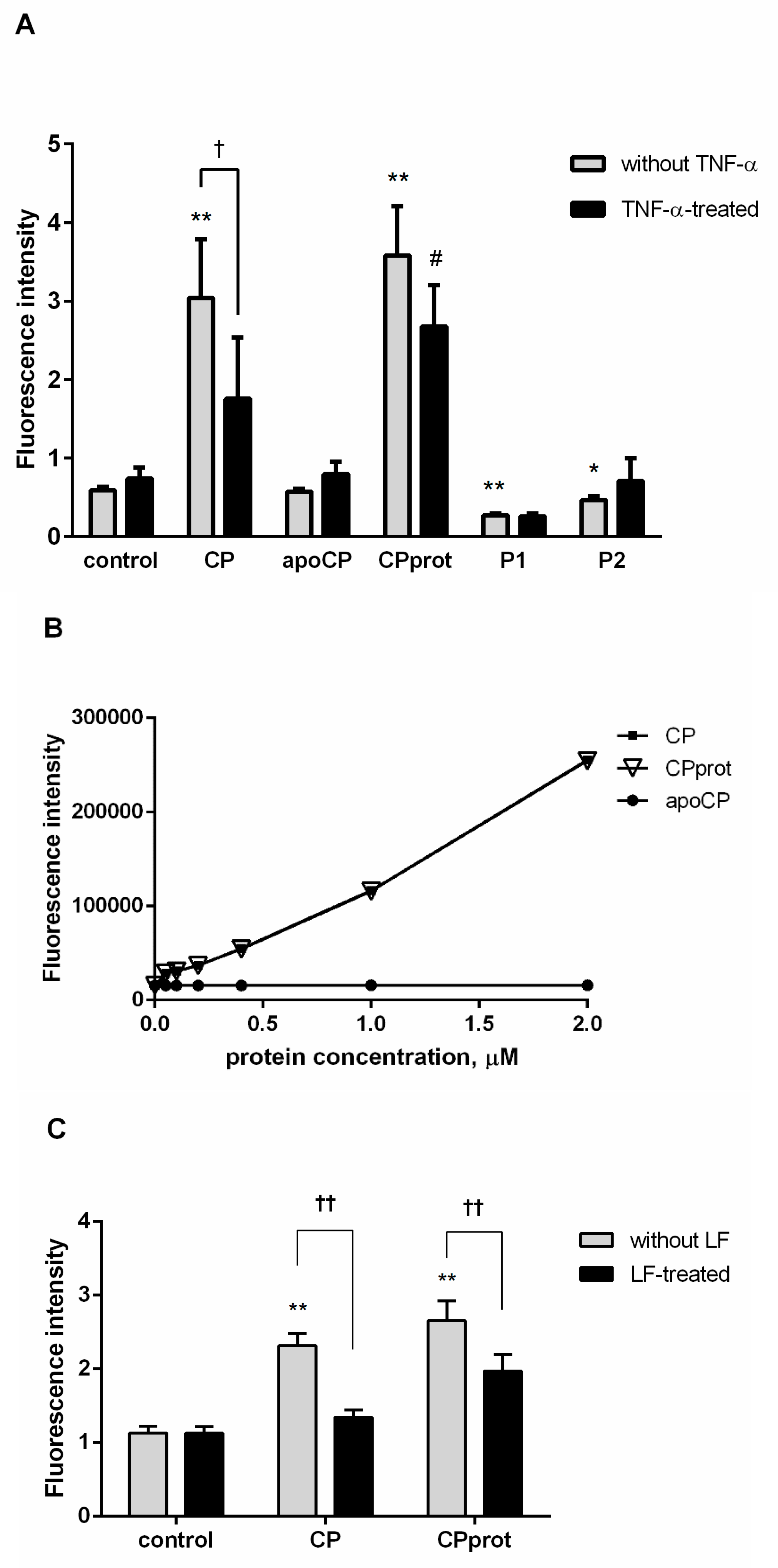 Cells 07 00008 g003