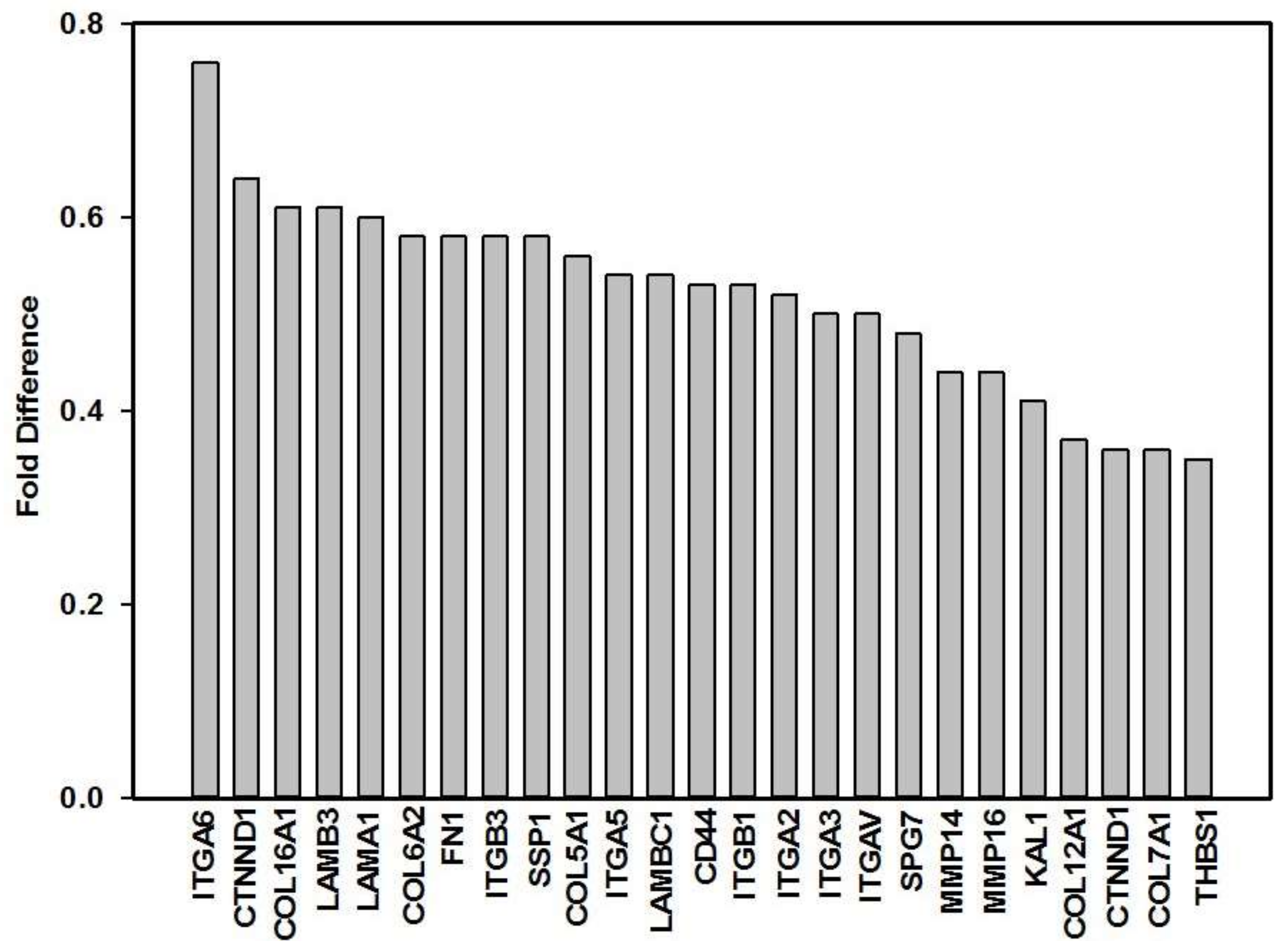 Cells 07 00030 g001 Cells 07 00030 g001