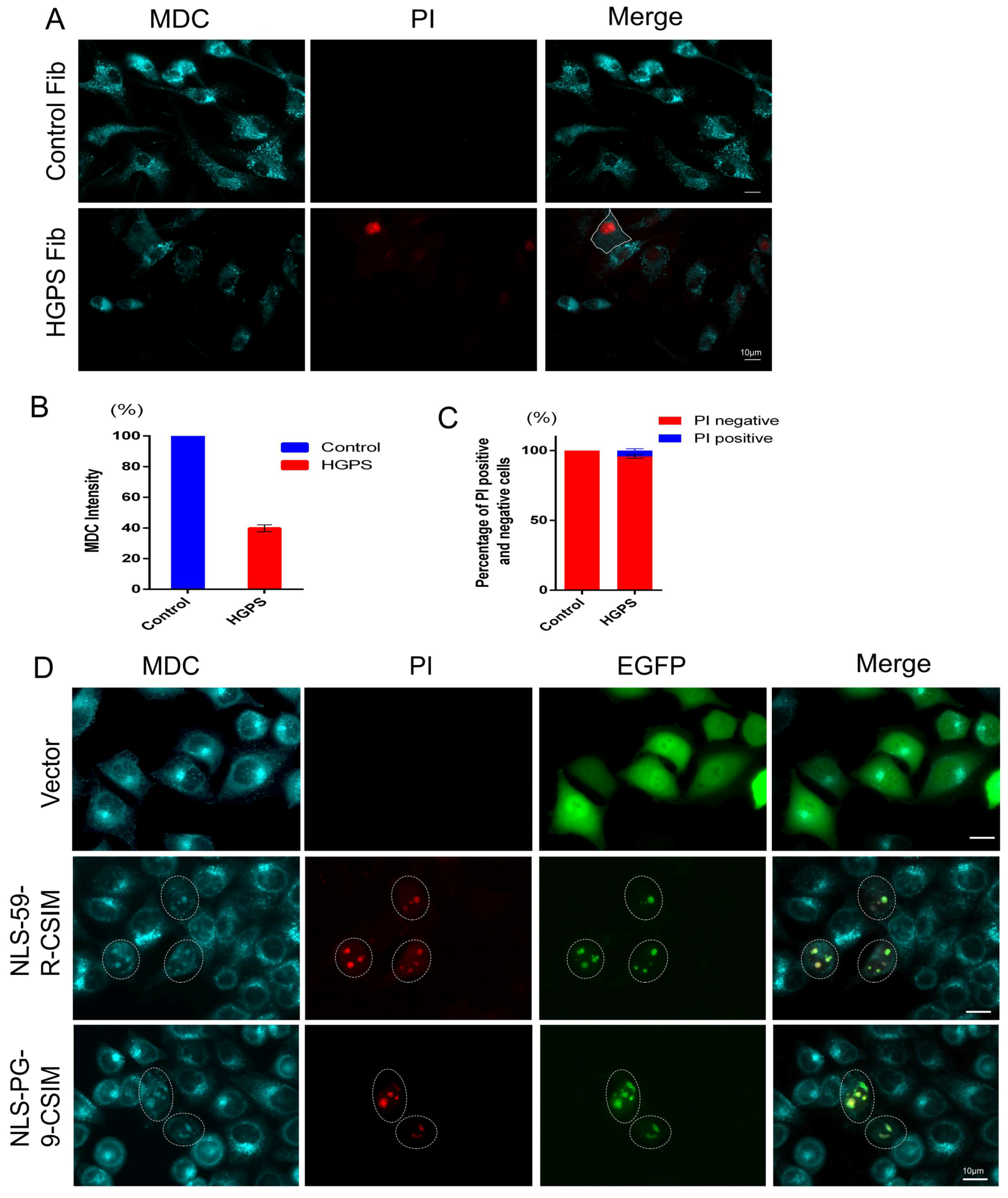 Cells 07 00033 g006