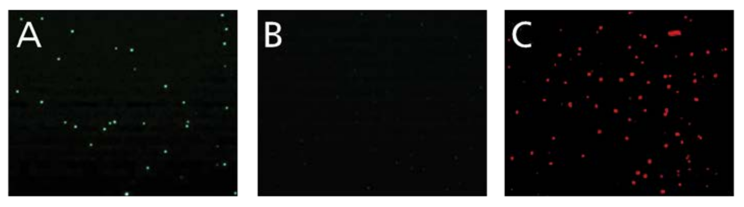 Cells 07 00035 g001 550