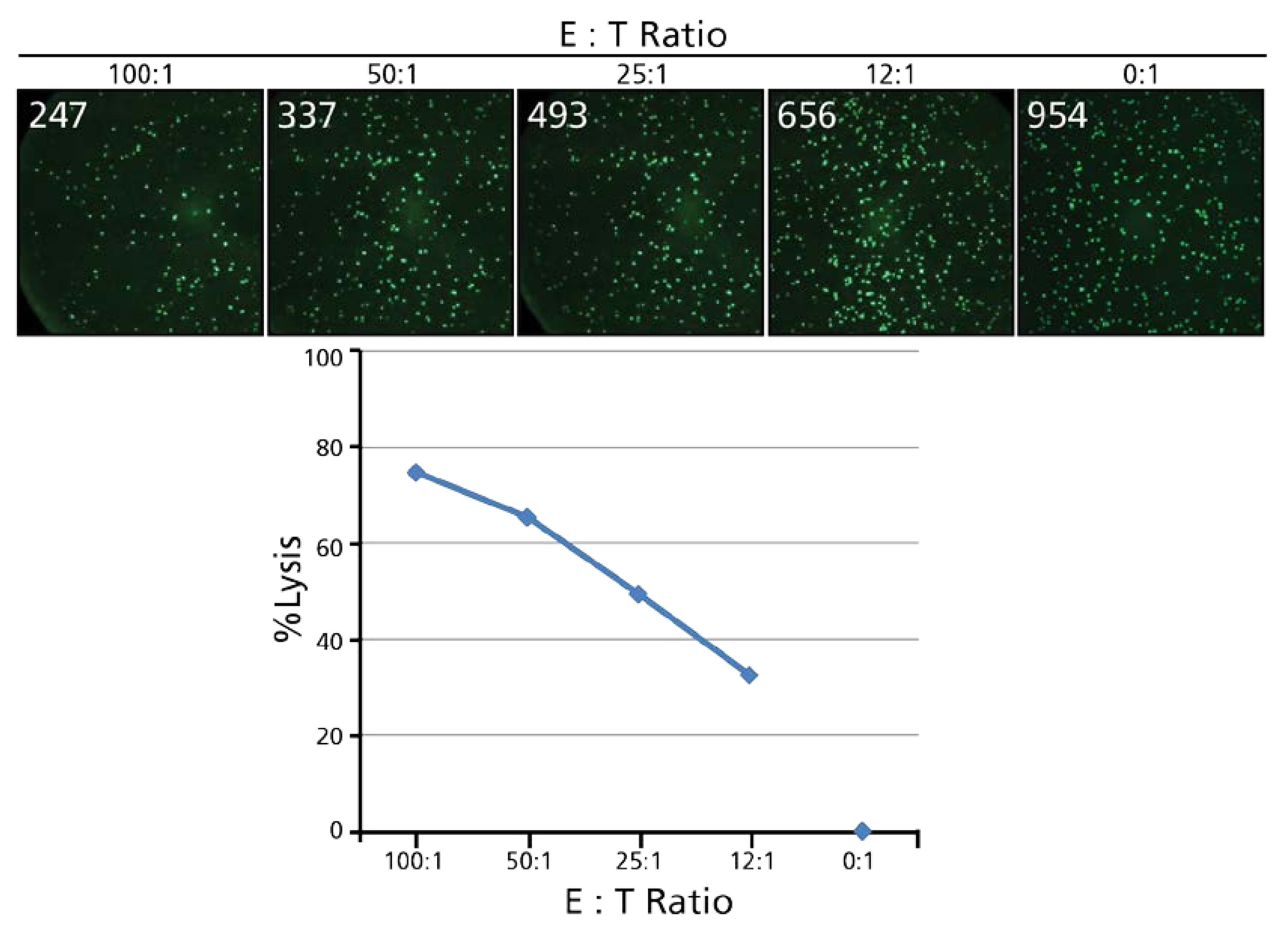 Cells 07 00035 g002 550