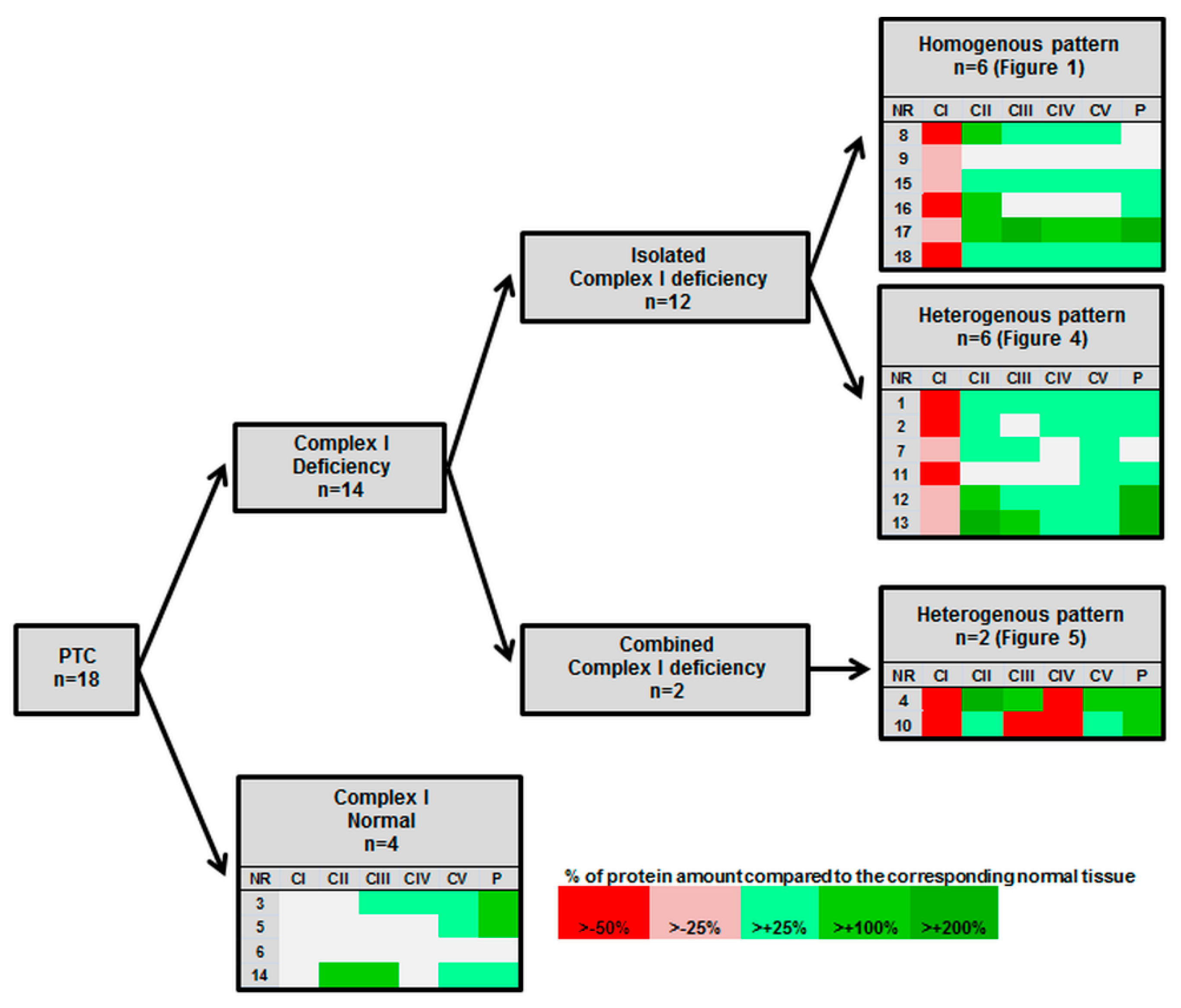 Cells 07 00040 g003 Cells 07 00040 g003