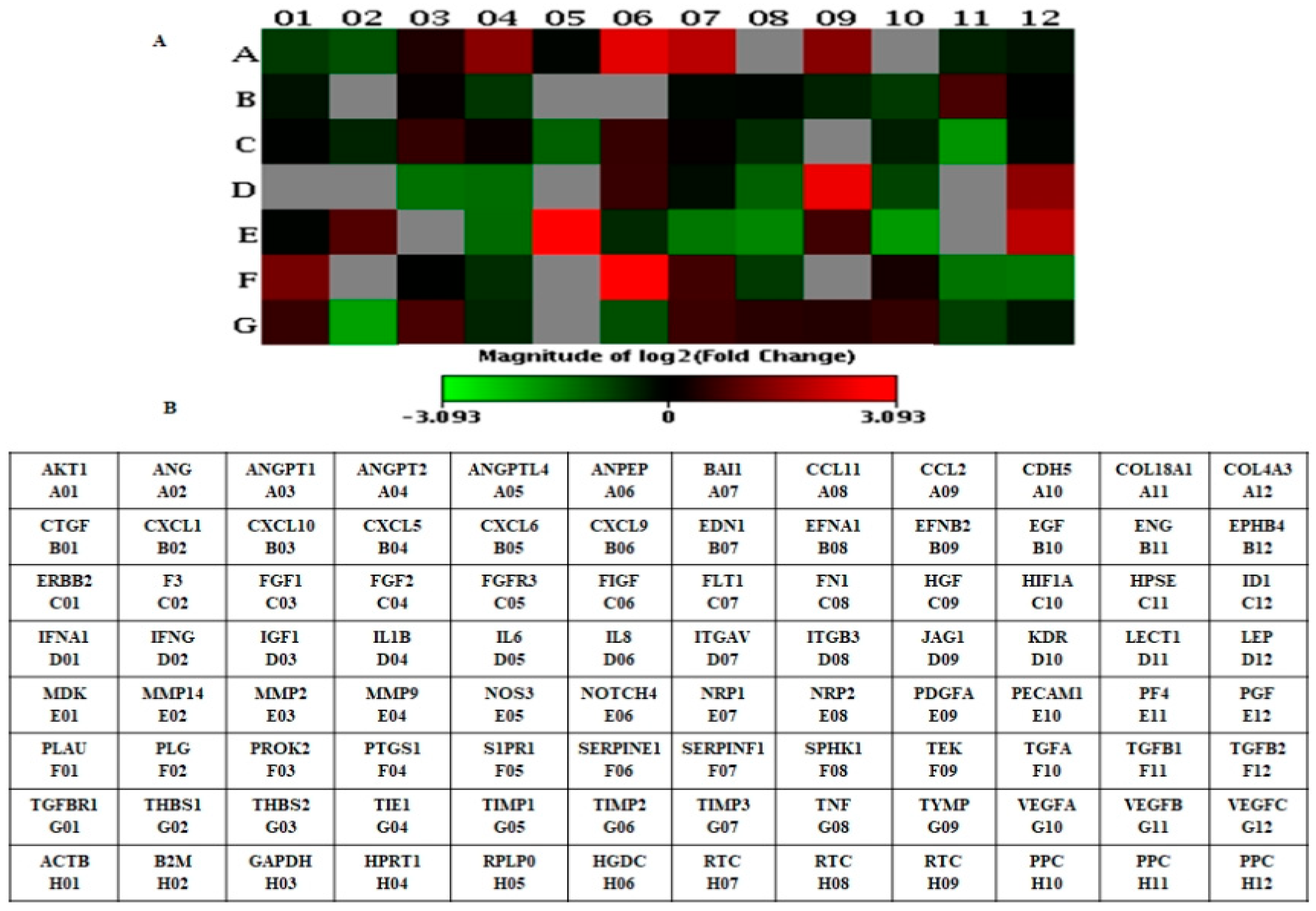 Cells 07 00041 g002 550