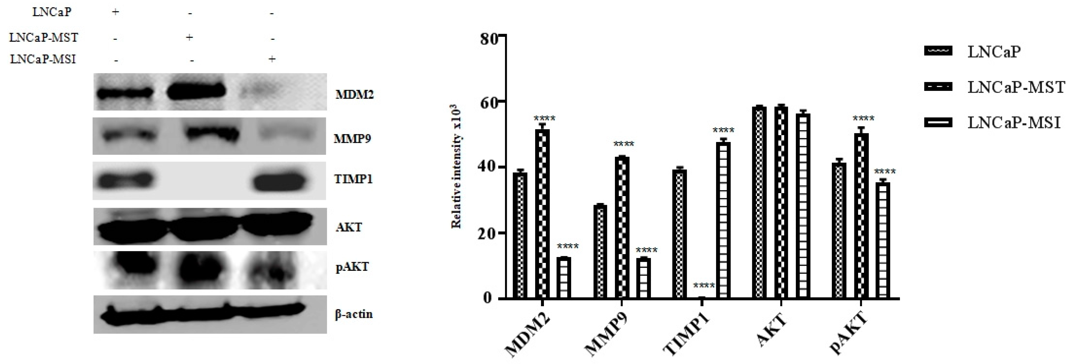 Cells 07 00041 g004 550