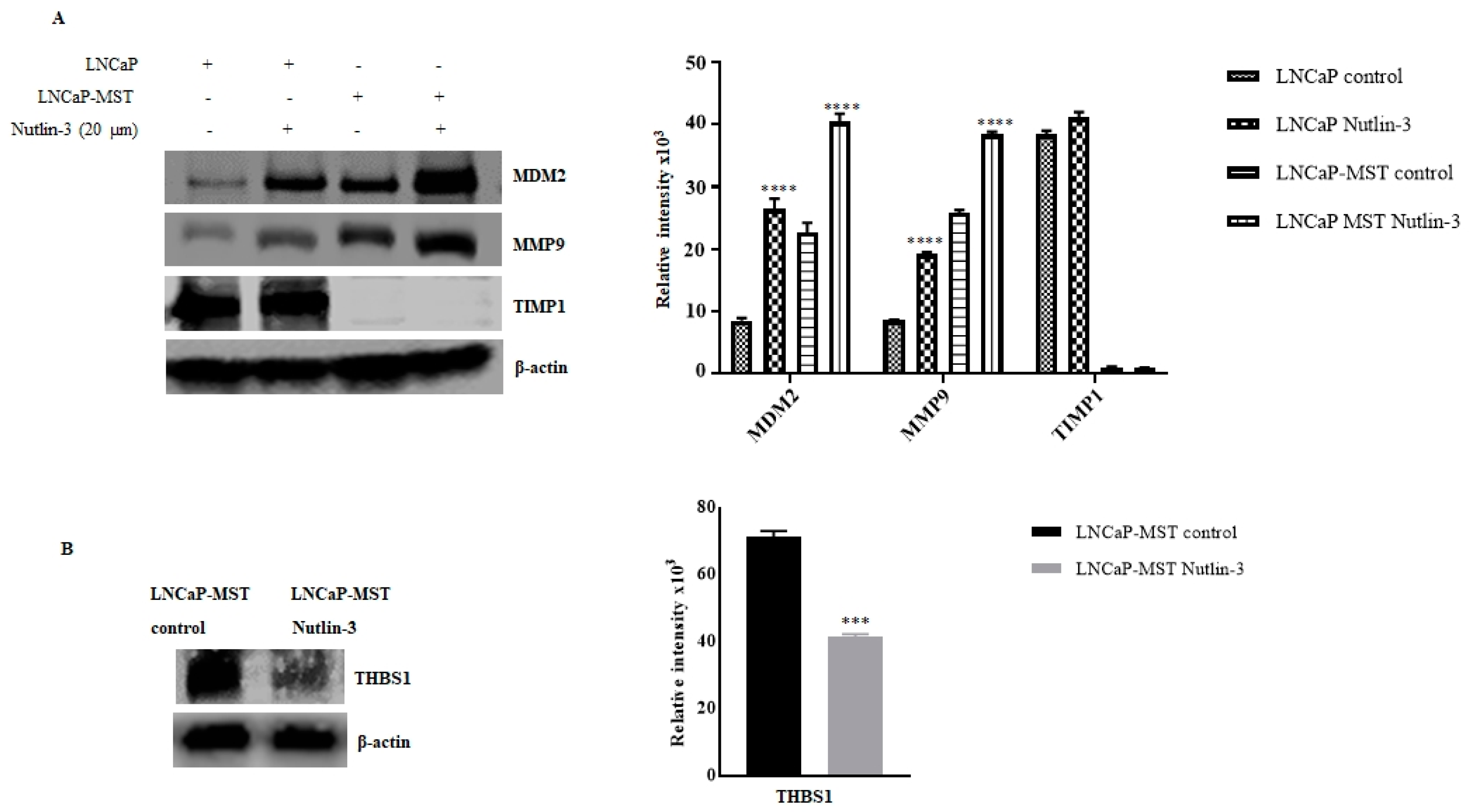 Cells 07 00041 g005 550