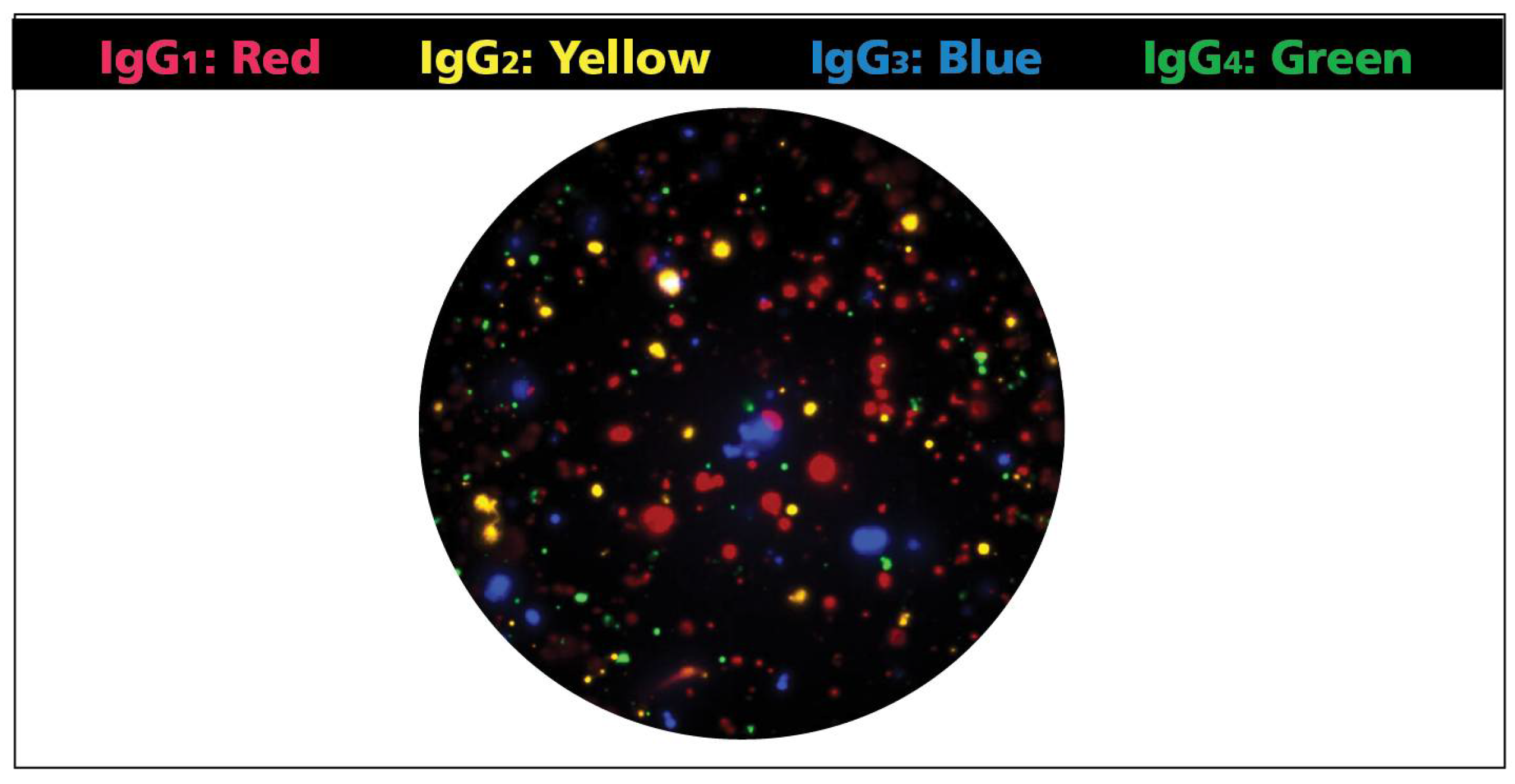Cells 07 00050 g002 550