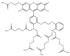 Cells 07 00051 i004 Cells 07 00051 i004