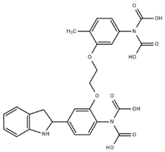 Cells 07 00051 i006 Cells 07 00051 i006