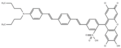 Cells 07 00051 i013 Cells 07 00051 i013